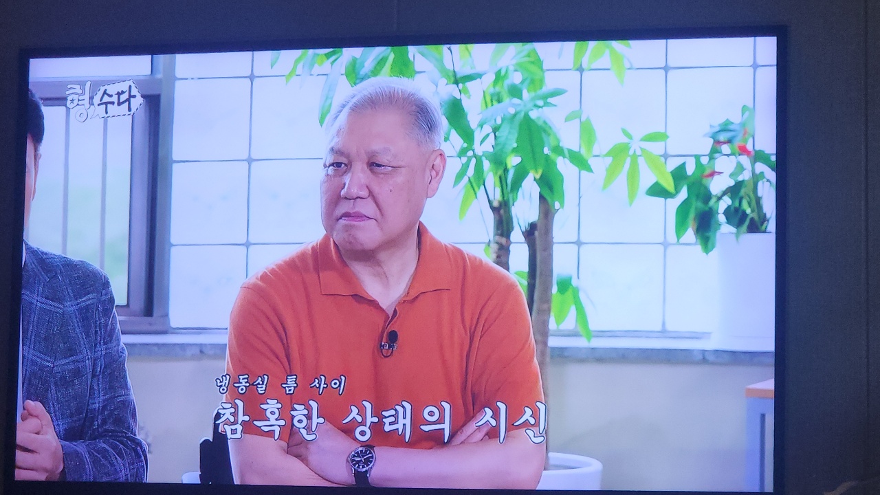 일요일 오전