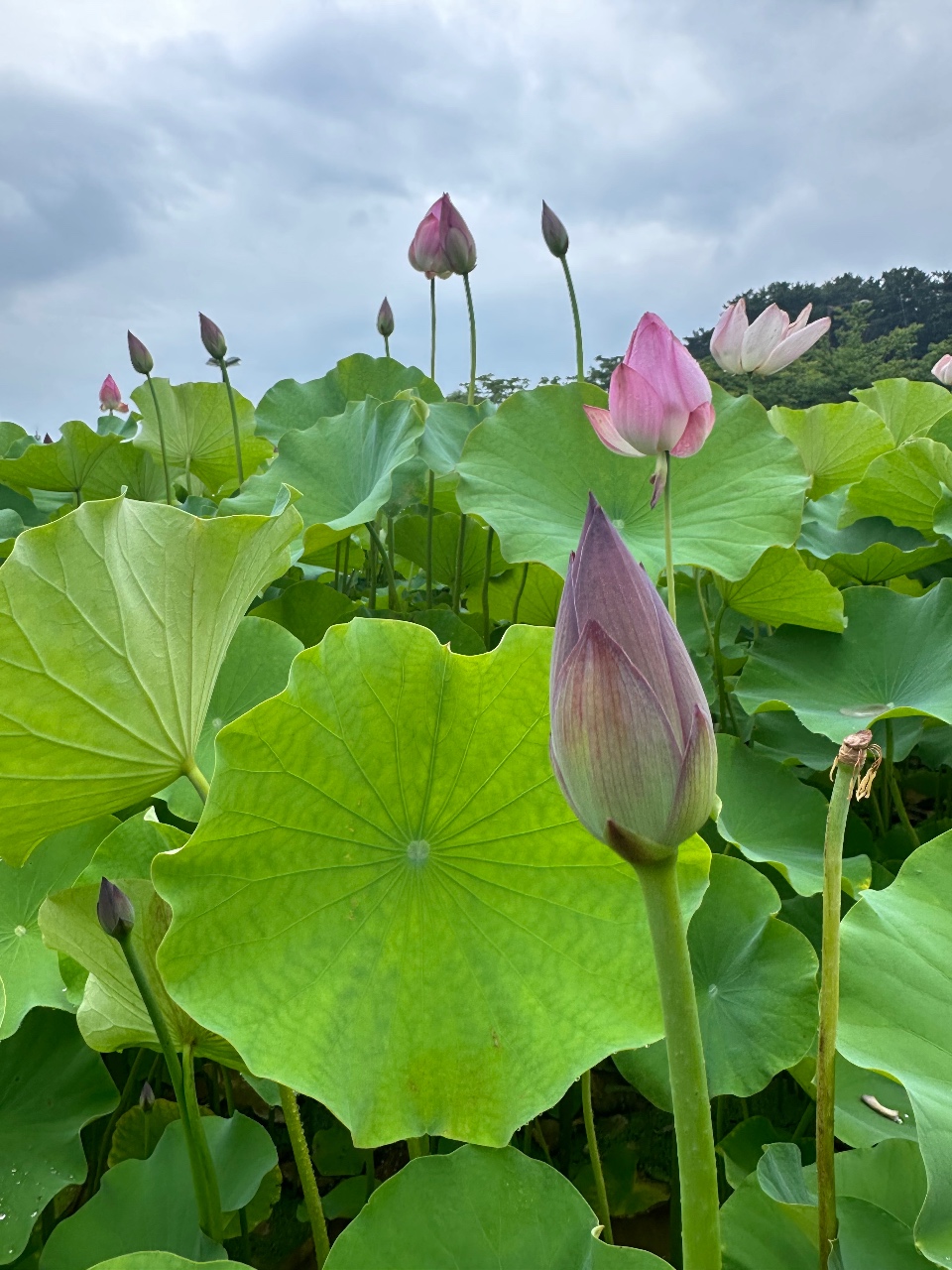 경주 산책