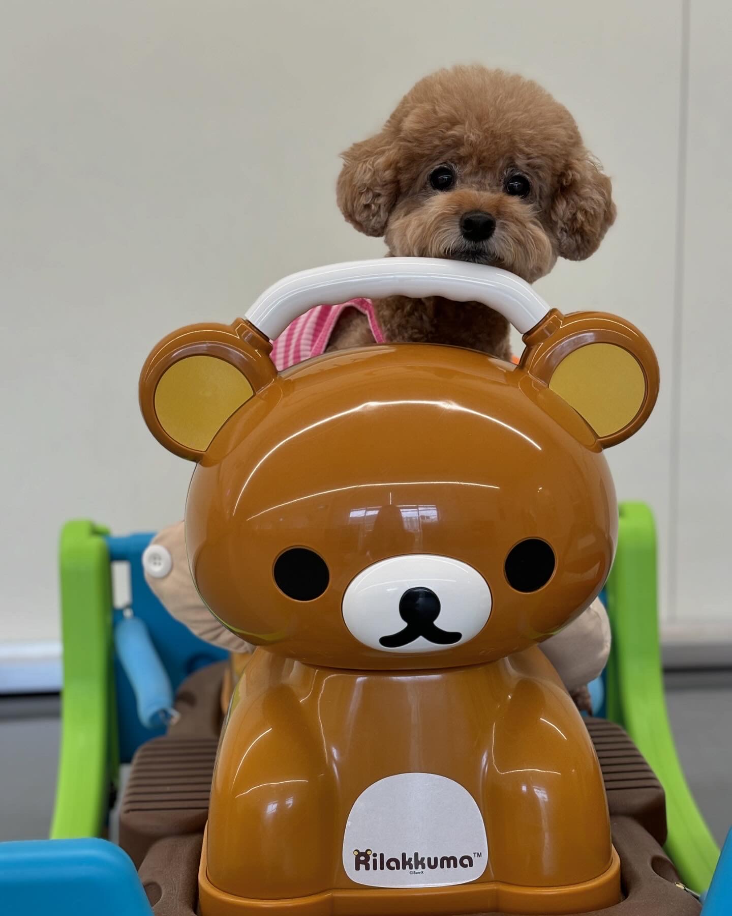 첨부파일