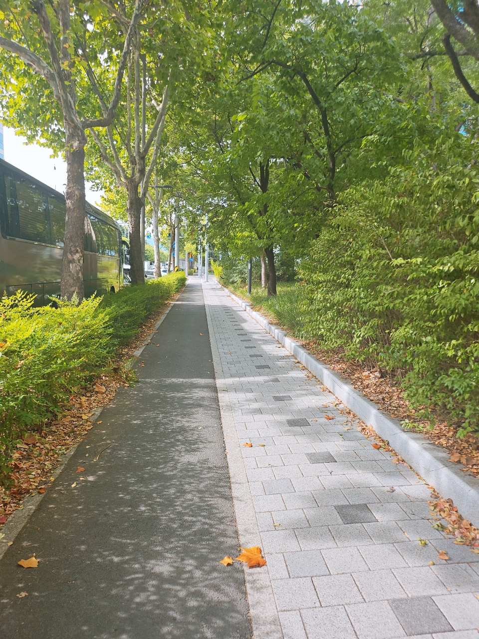 이번여름필수템