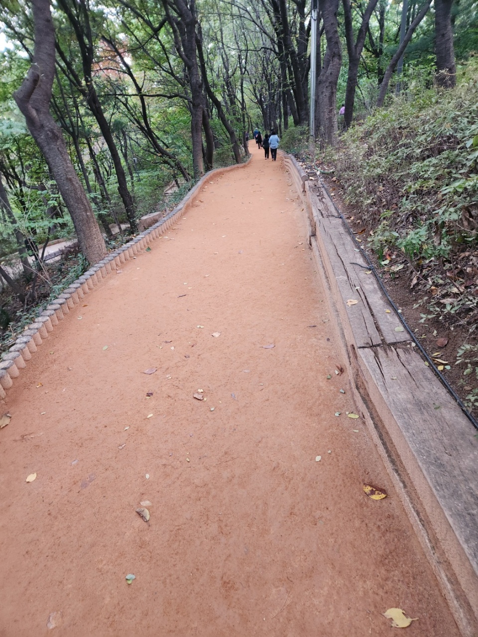 오늘도 명상하기!!!