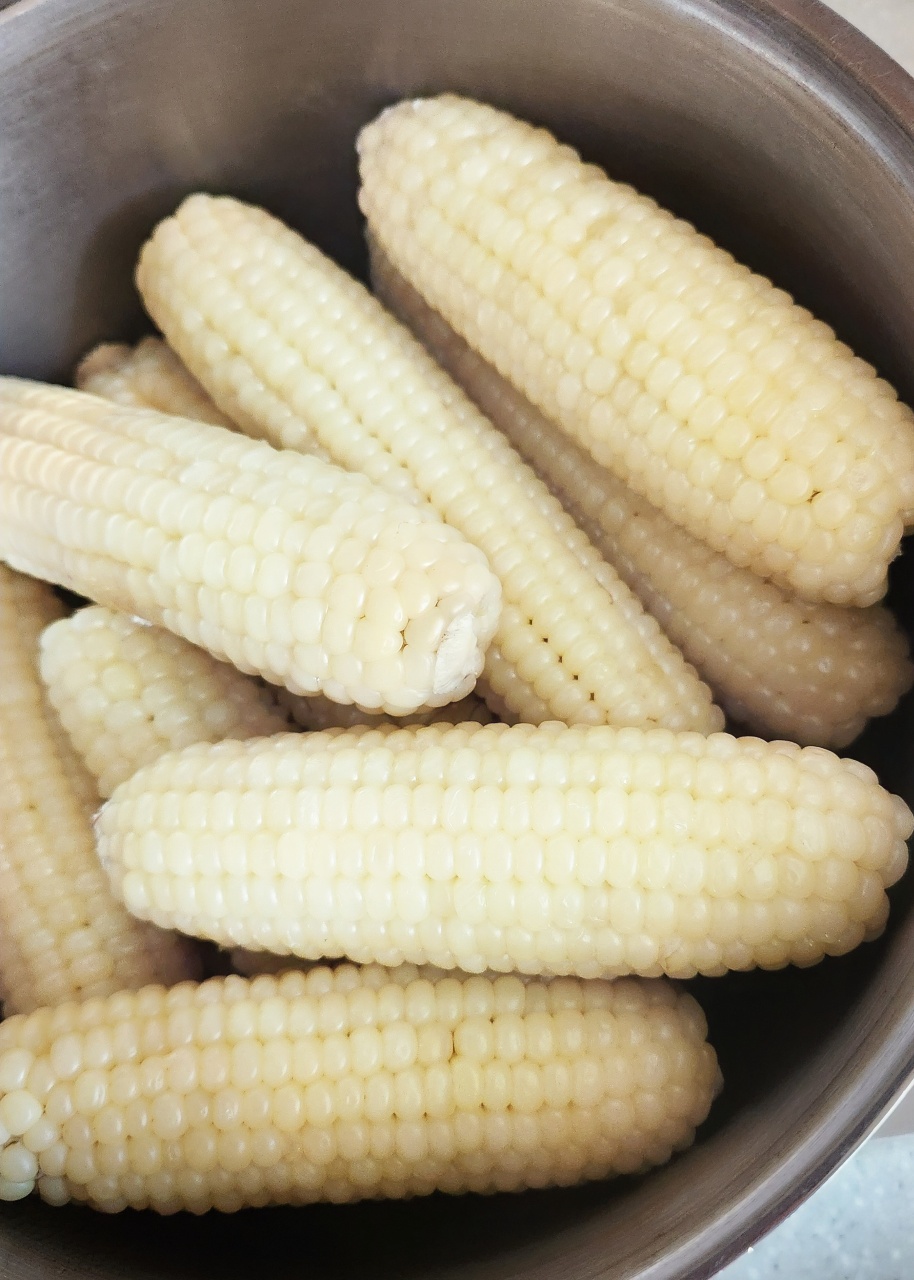 옥수수 삶았어요.