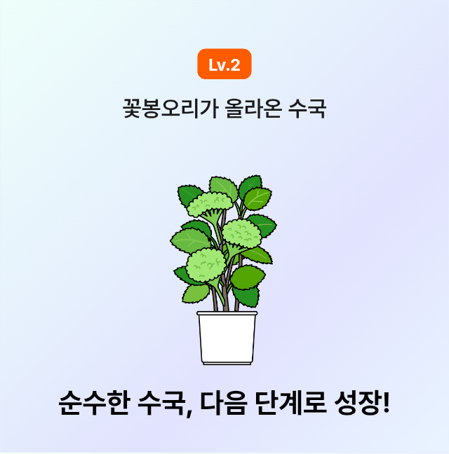 수국 봉우리!!!