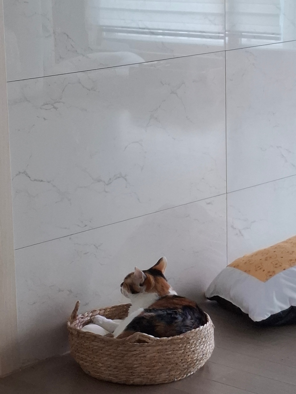 고영희