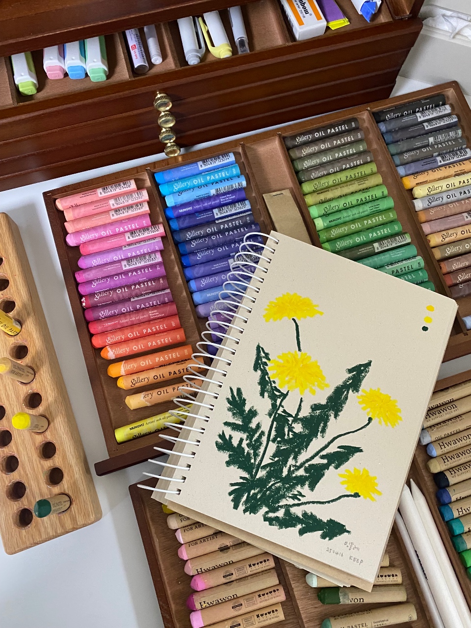 🌼봄꽃 그리기🌸