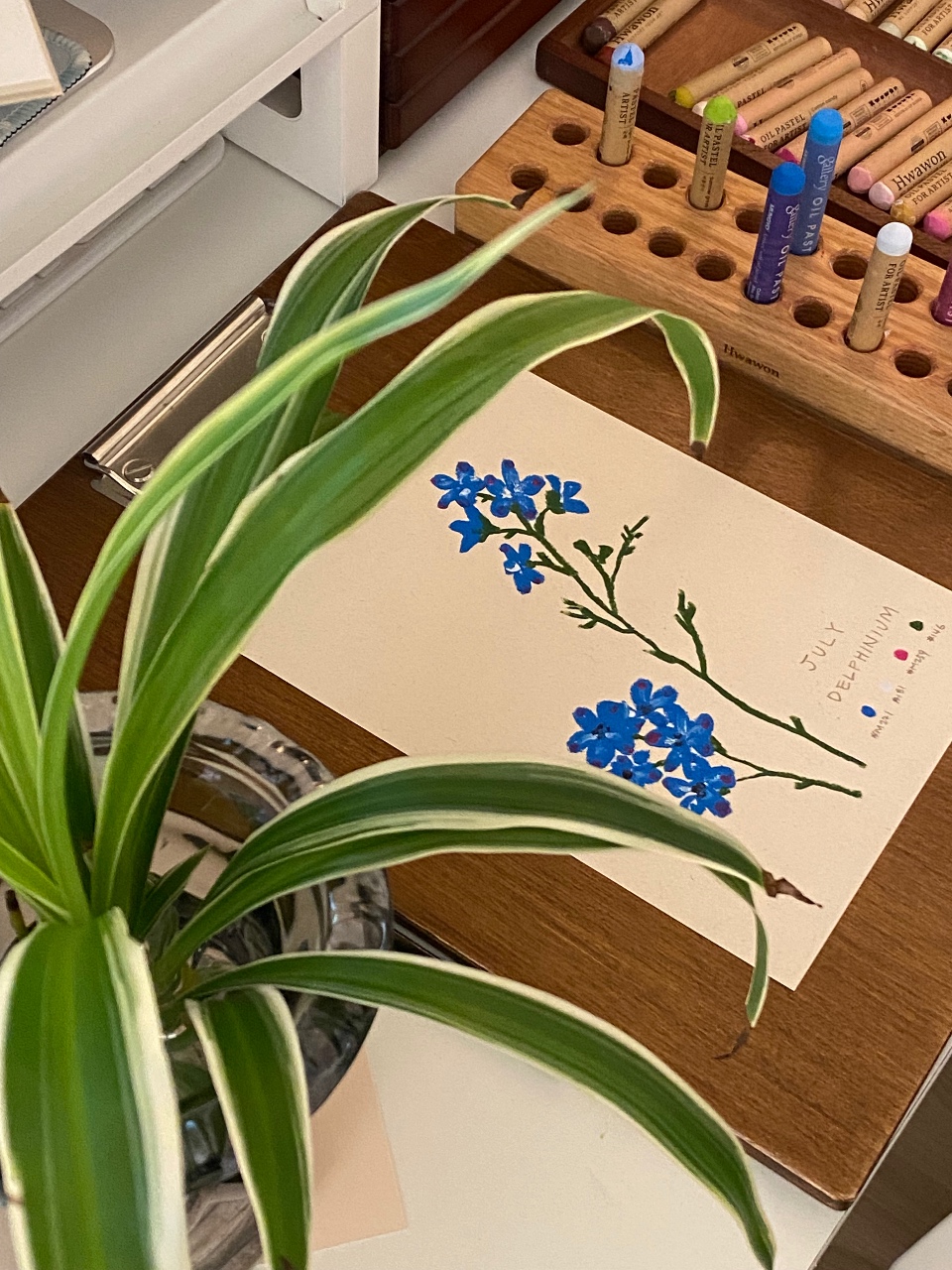 델피늄 꽃그림🌿🌸