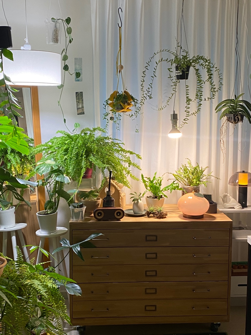 식물을 건강하게 키우는 식물등 인테리어💚☀️🌿