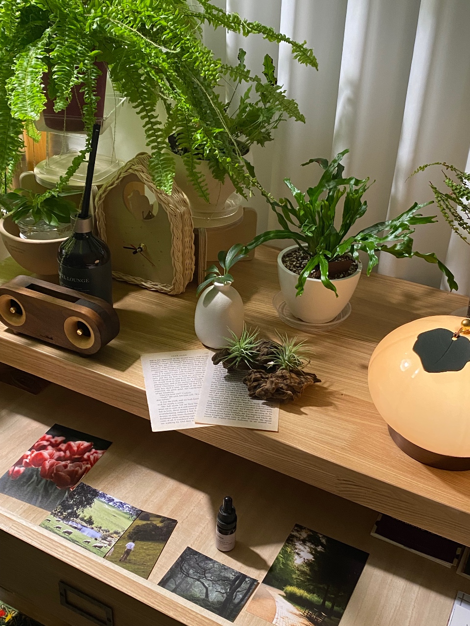 가을 우디 디퓨저🤎🌿