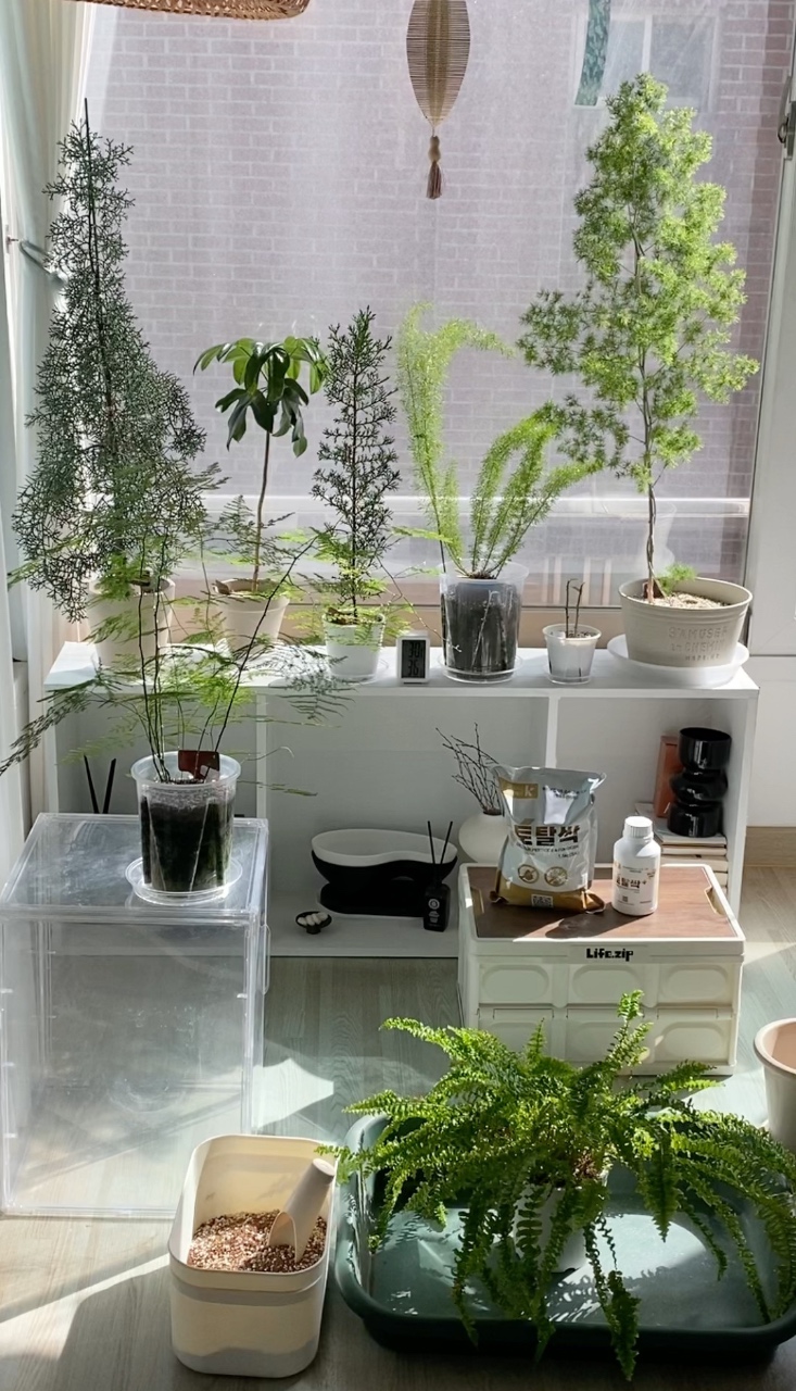  🪴친환경 병해충 관리제 토탈싹 분갈이🌿