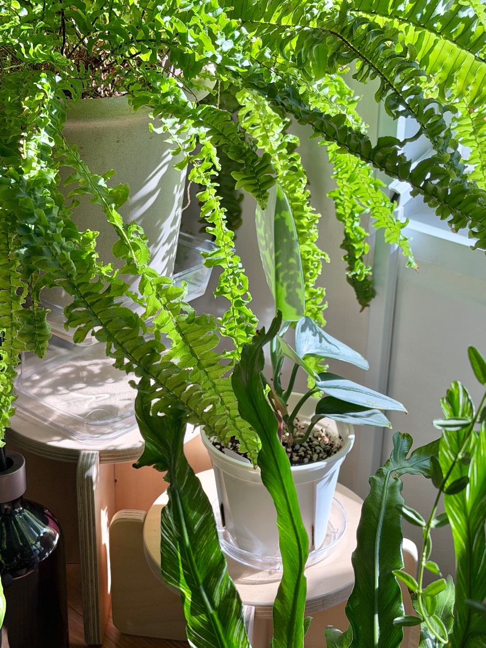 초록이 너무 예쁜 가을날✨🌿