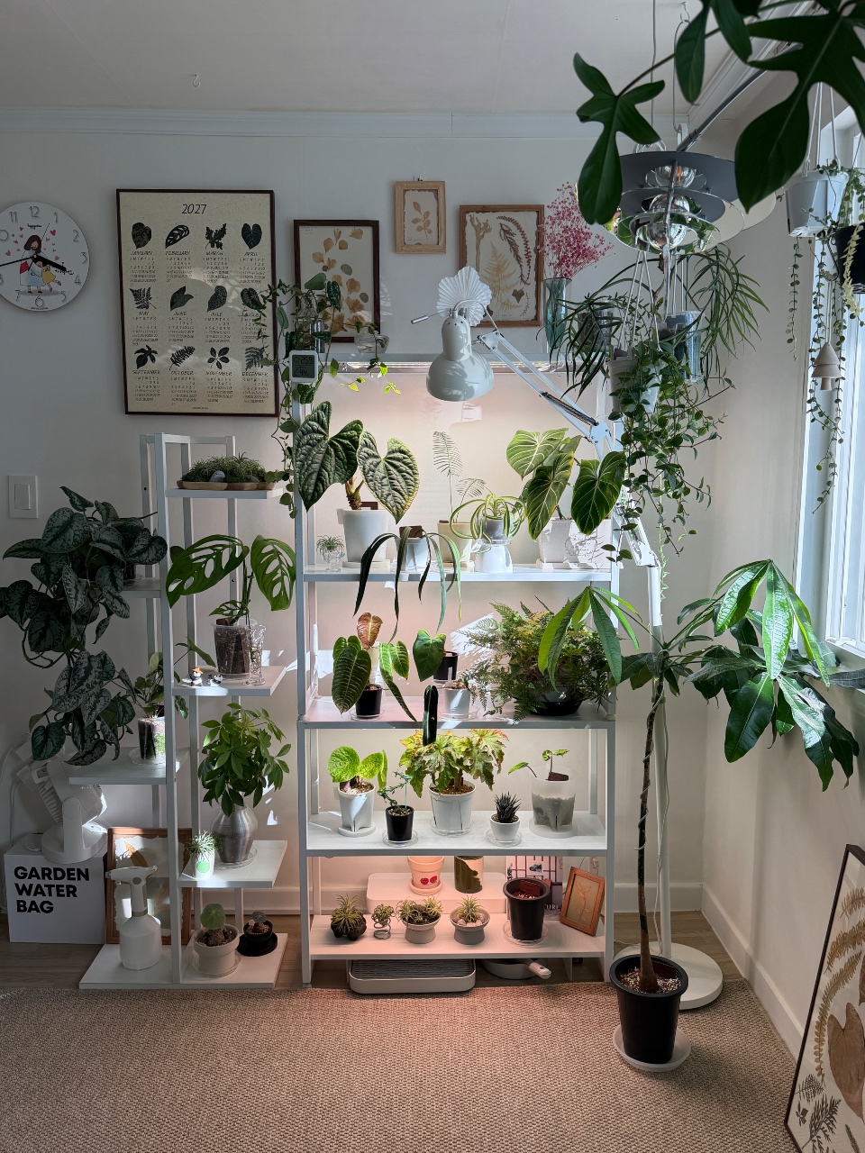 식집사의 식물 달력🌿