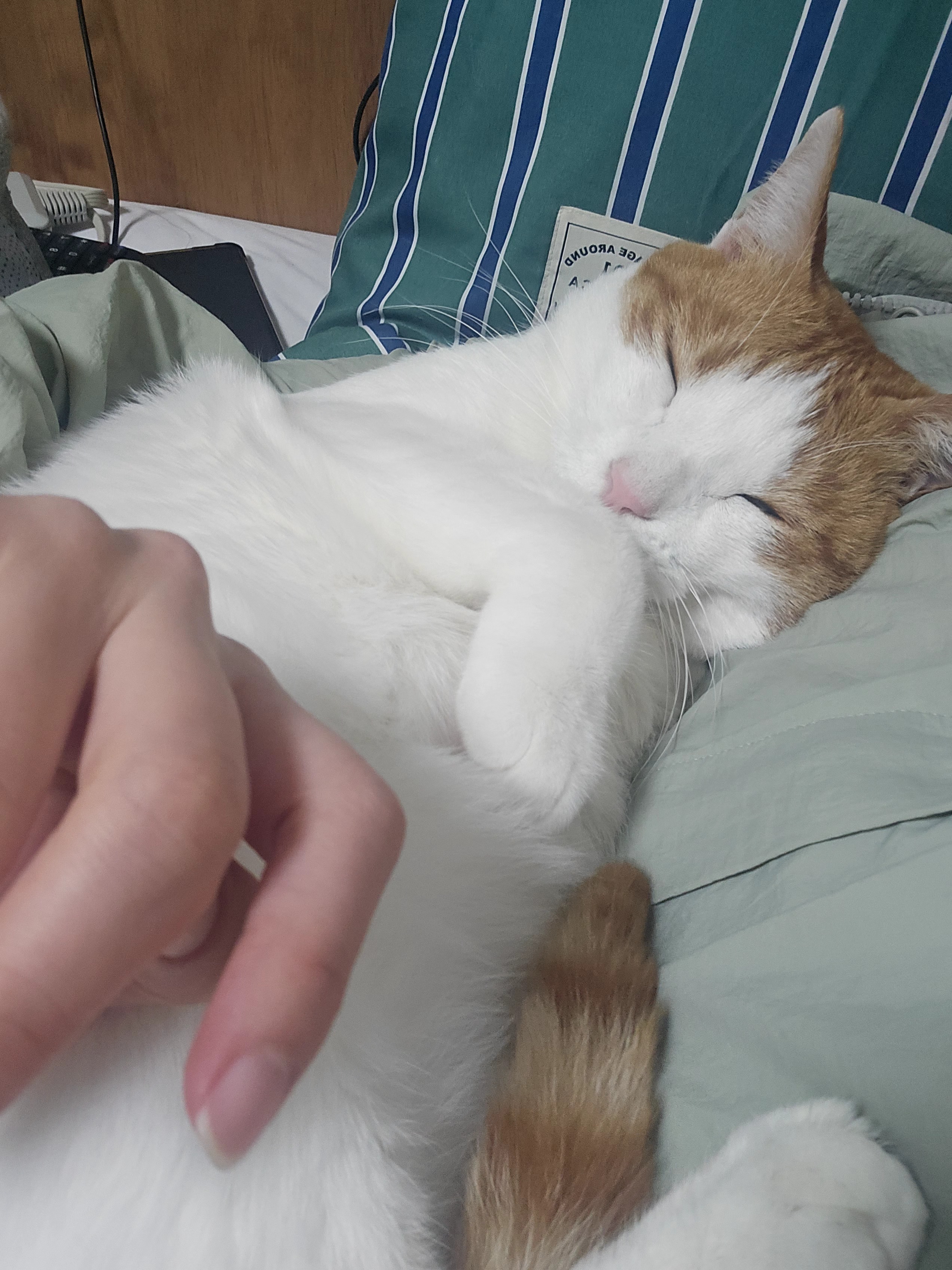 첨부파일