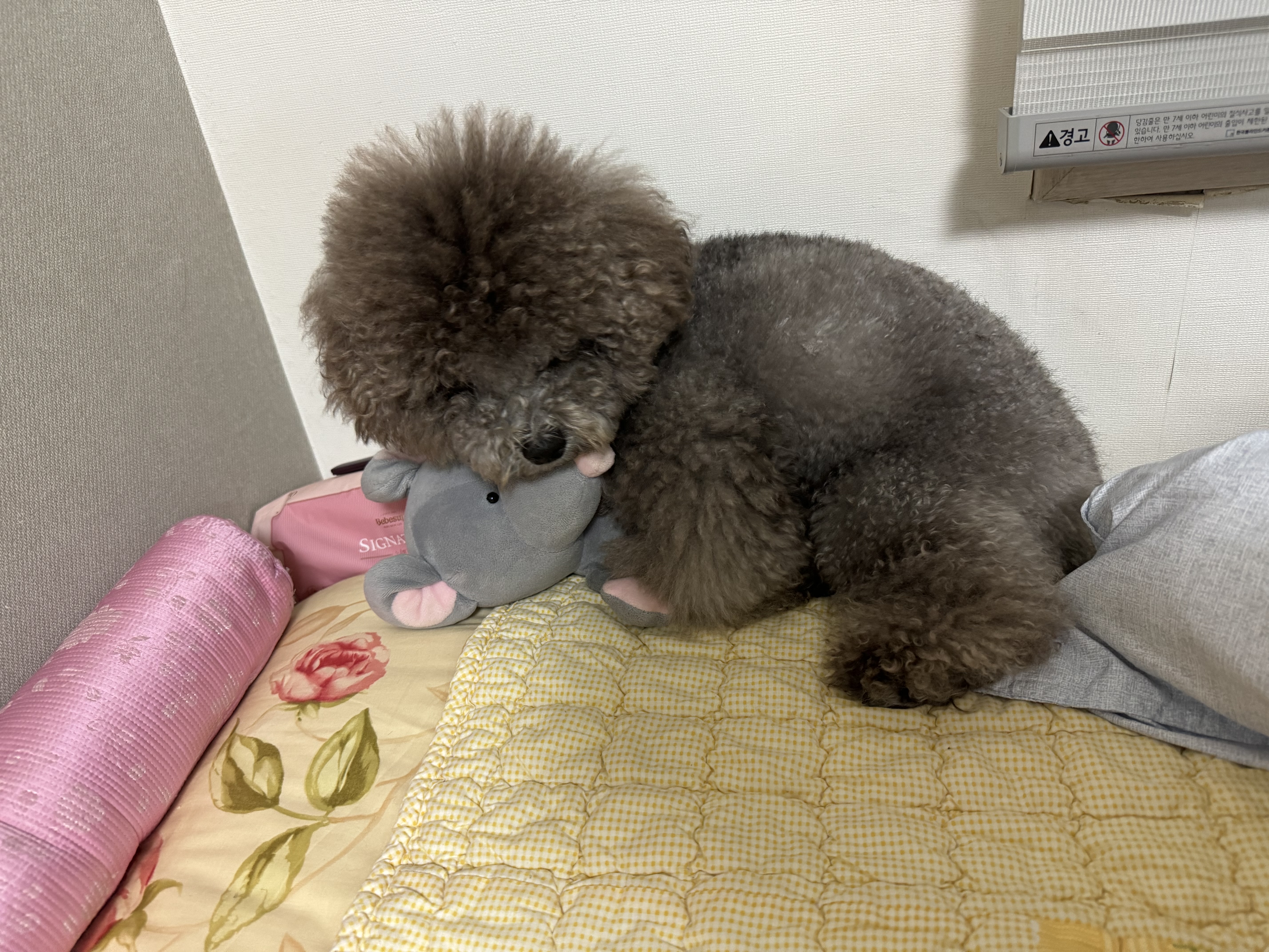 첨부파일