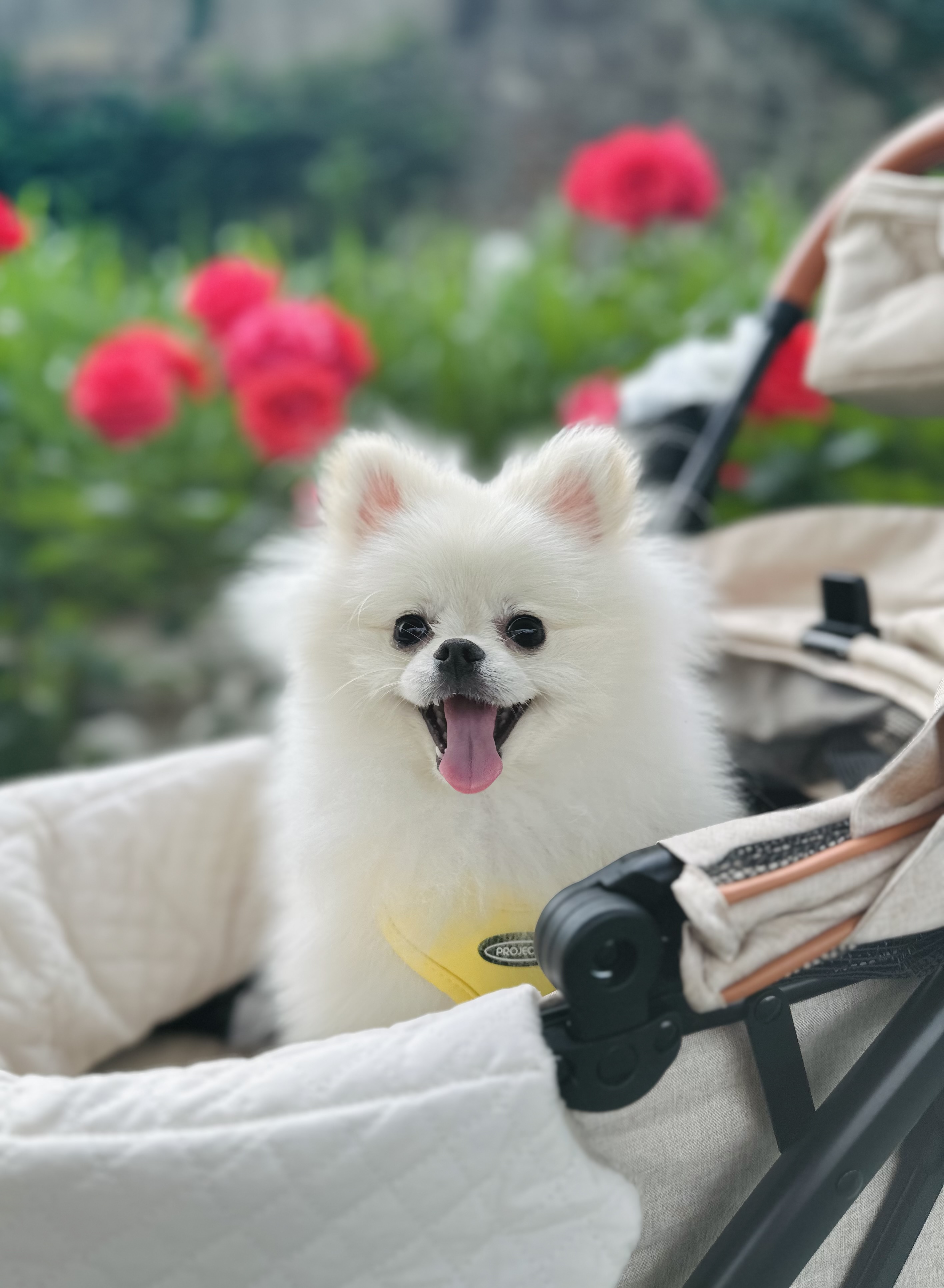 첨부파일