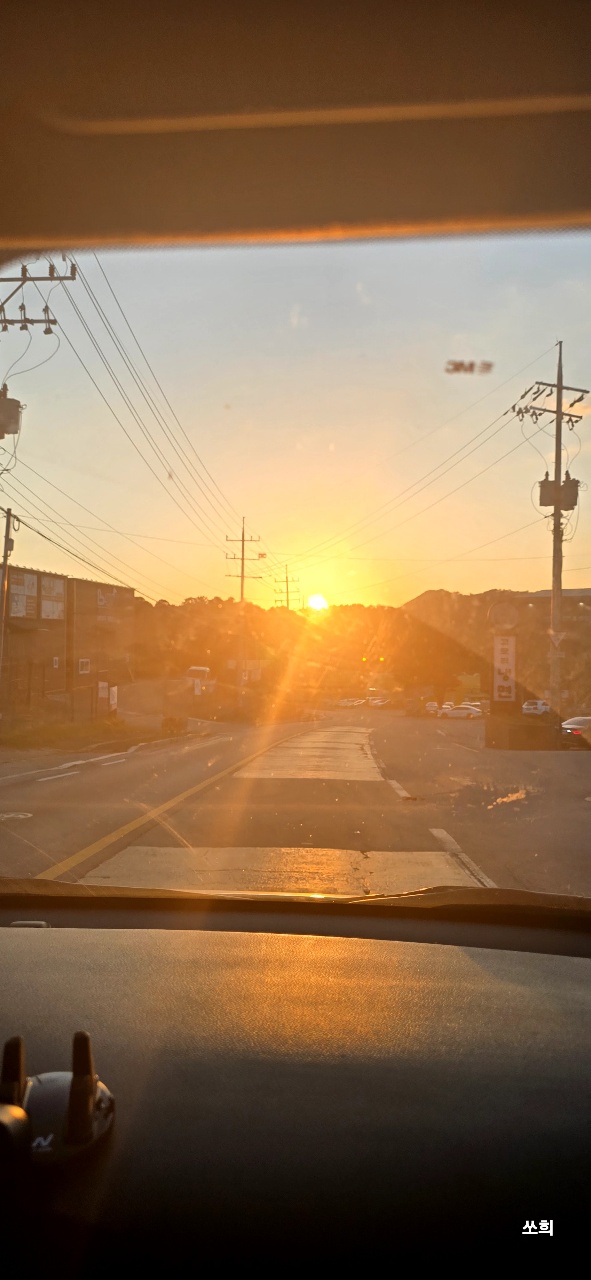 🌆