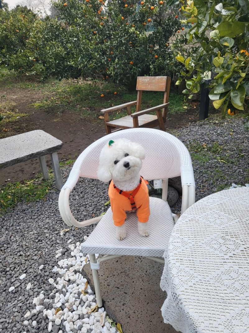 첨부파일