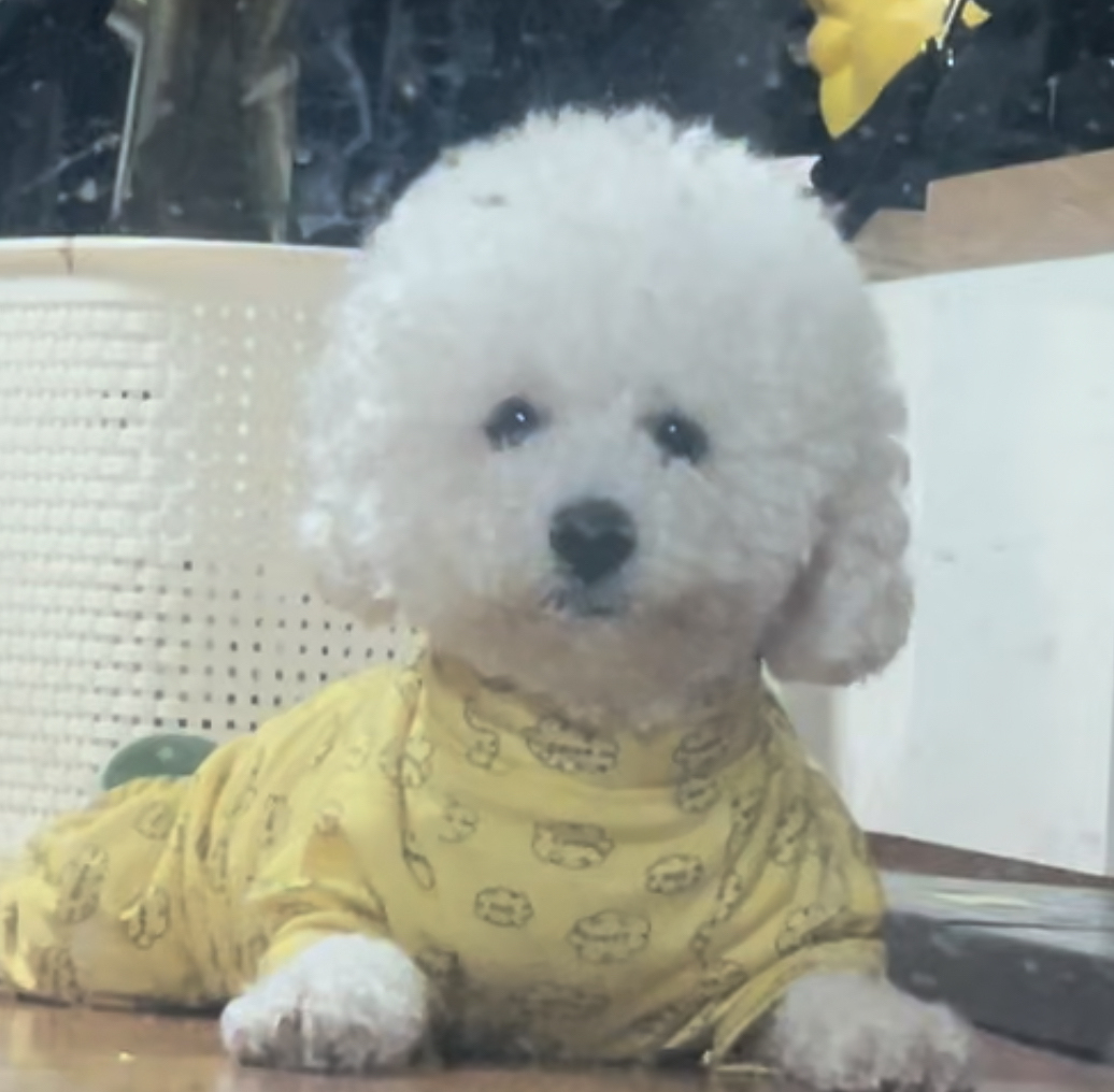 첨부파일