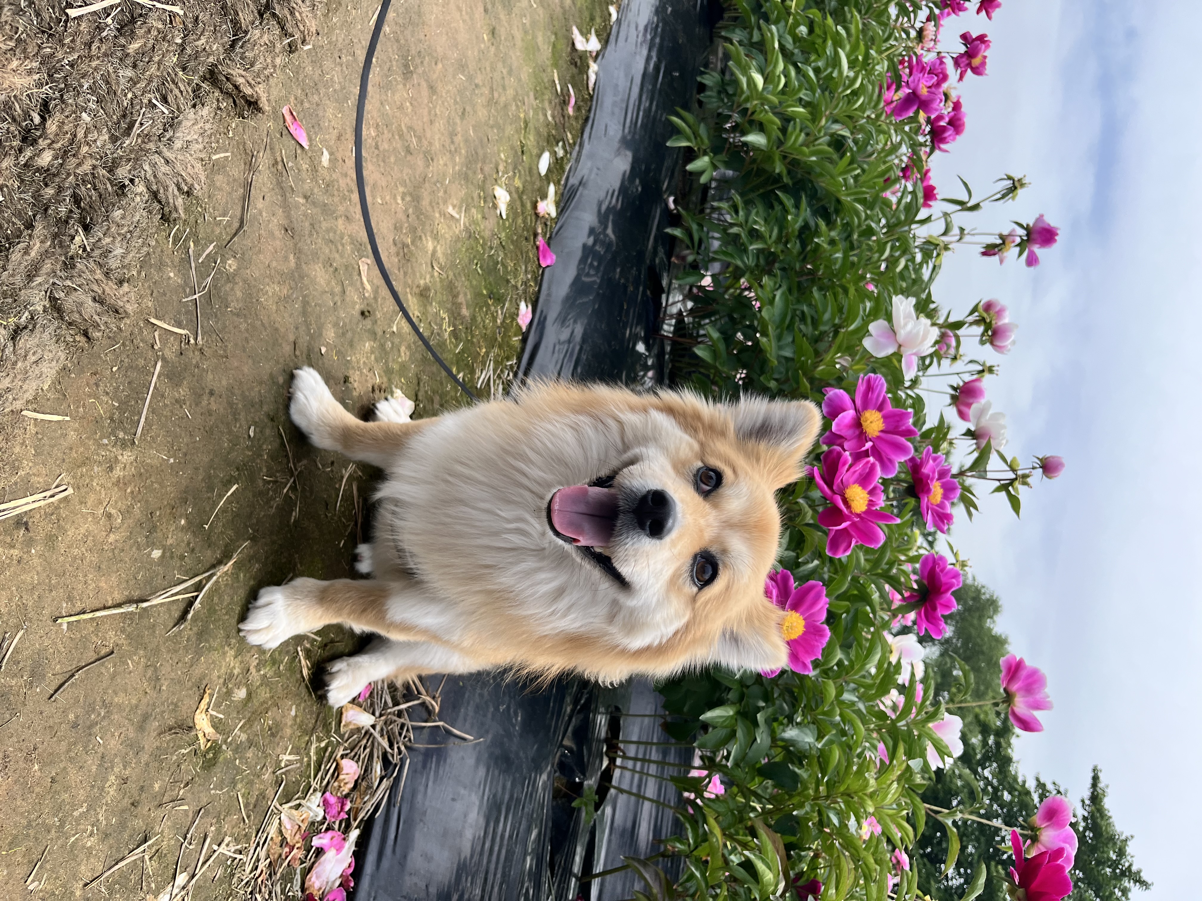 첨부파일
