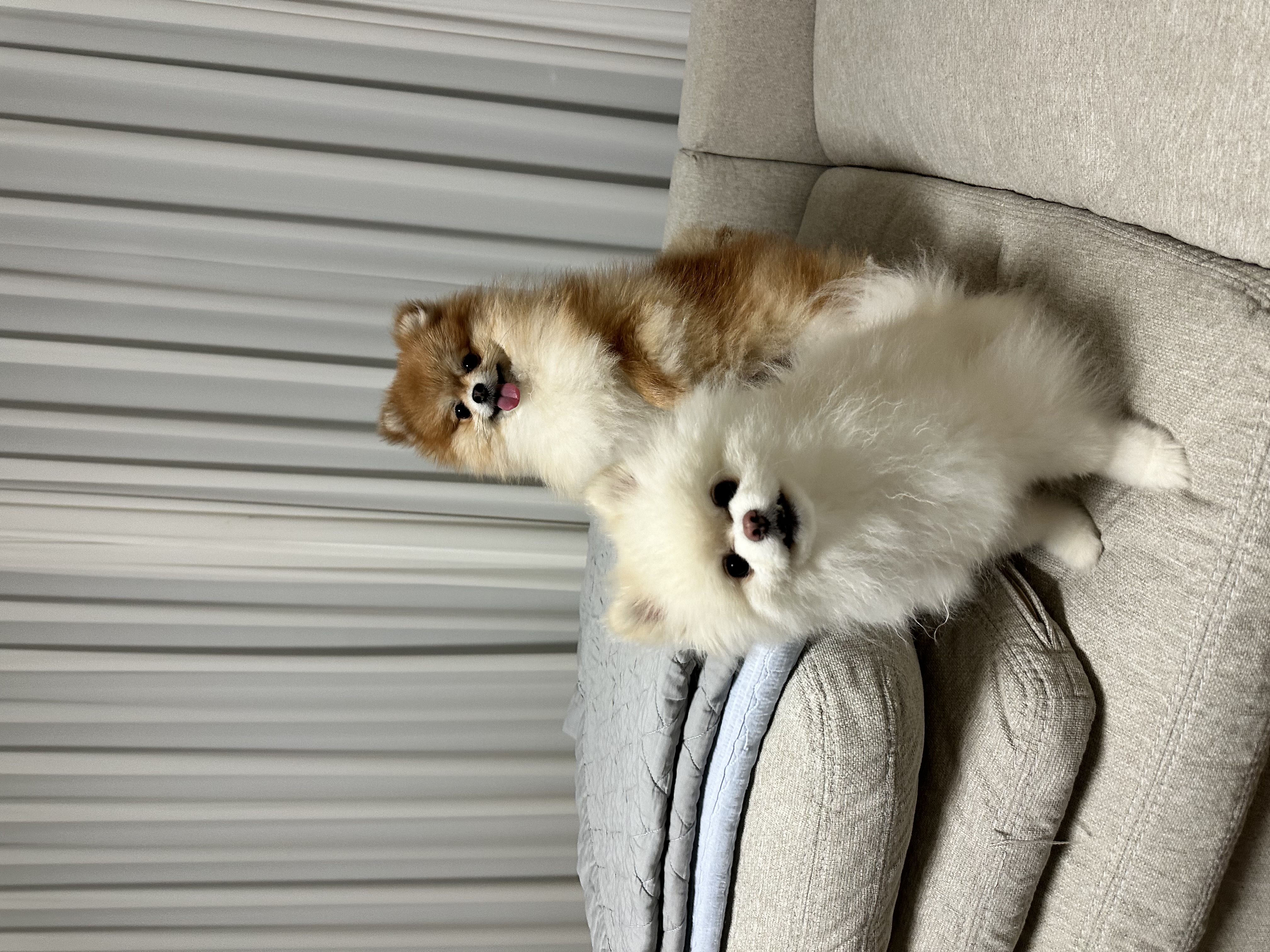 첨부파일