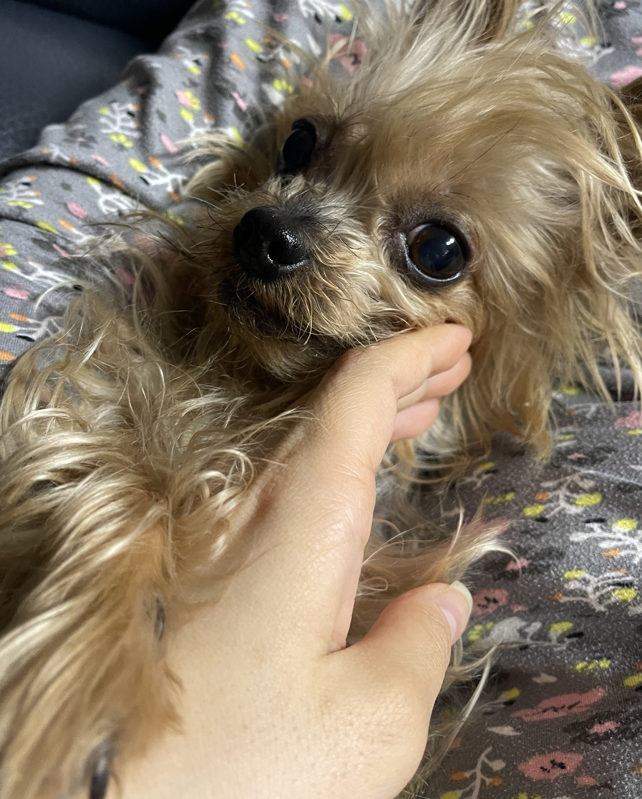 첨부파일
