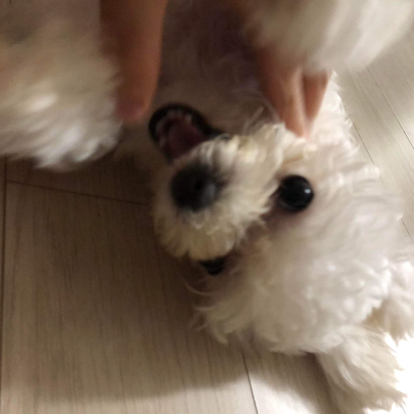 첨부파일