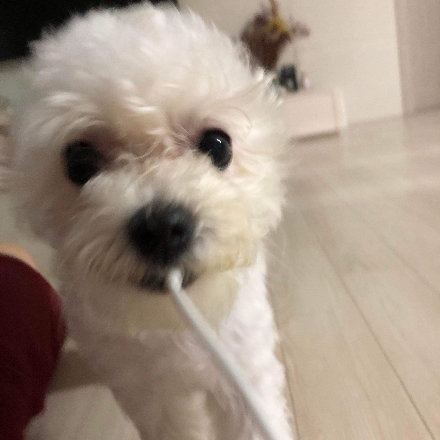 첨부파일