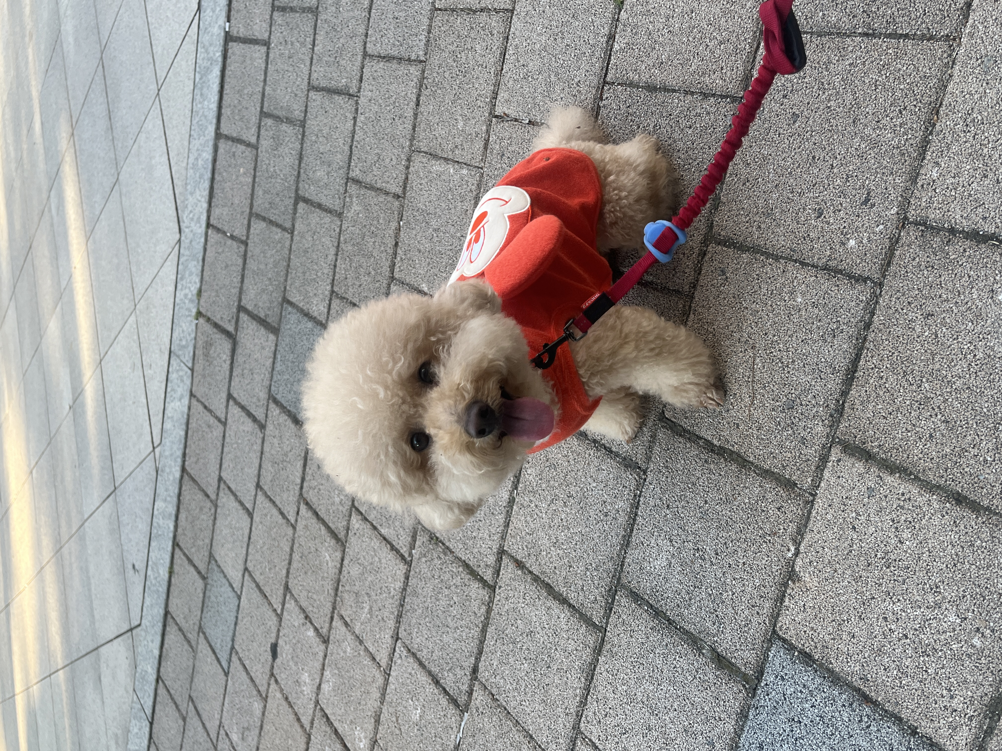 첨부파일
