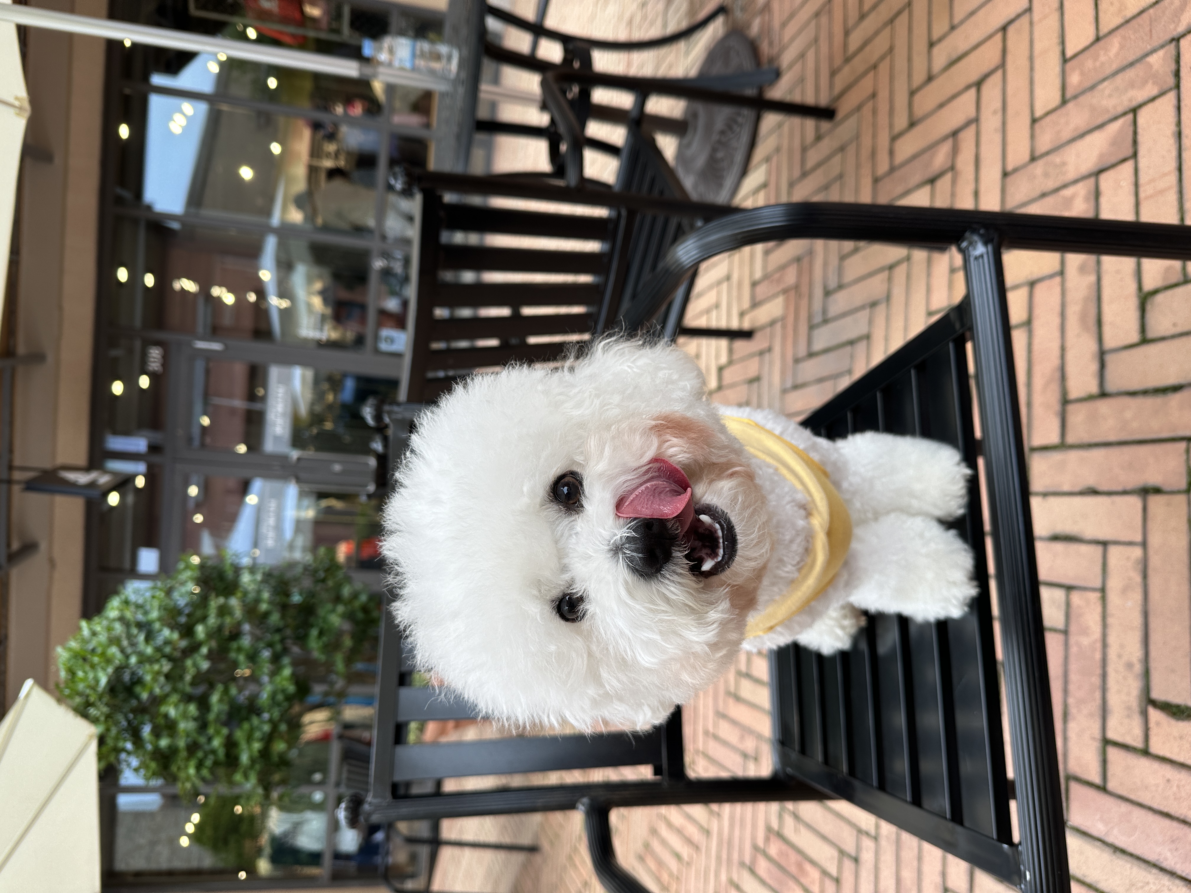 첨부파일