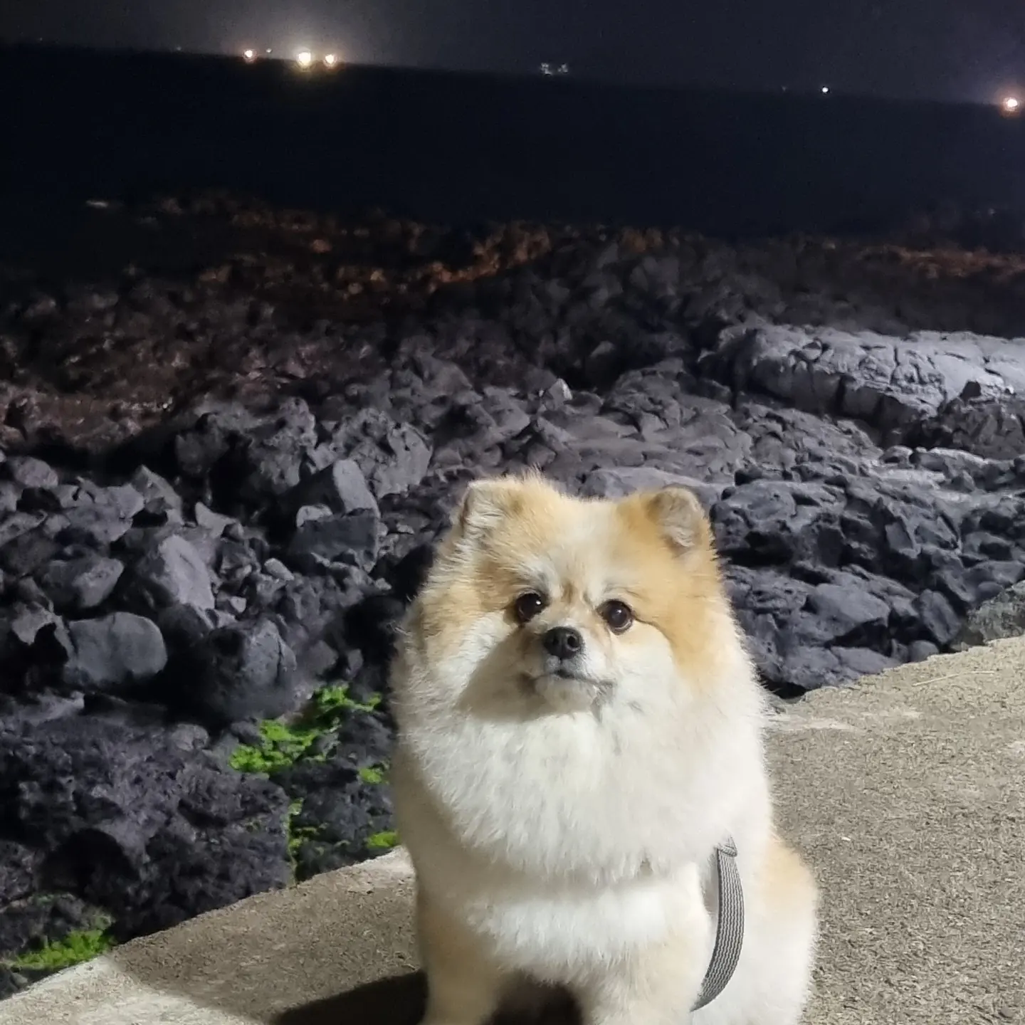 첨부파일