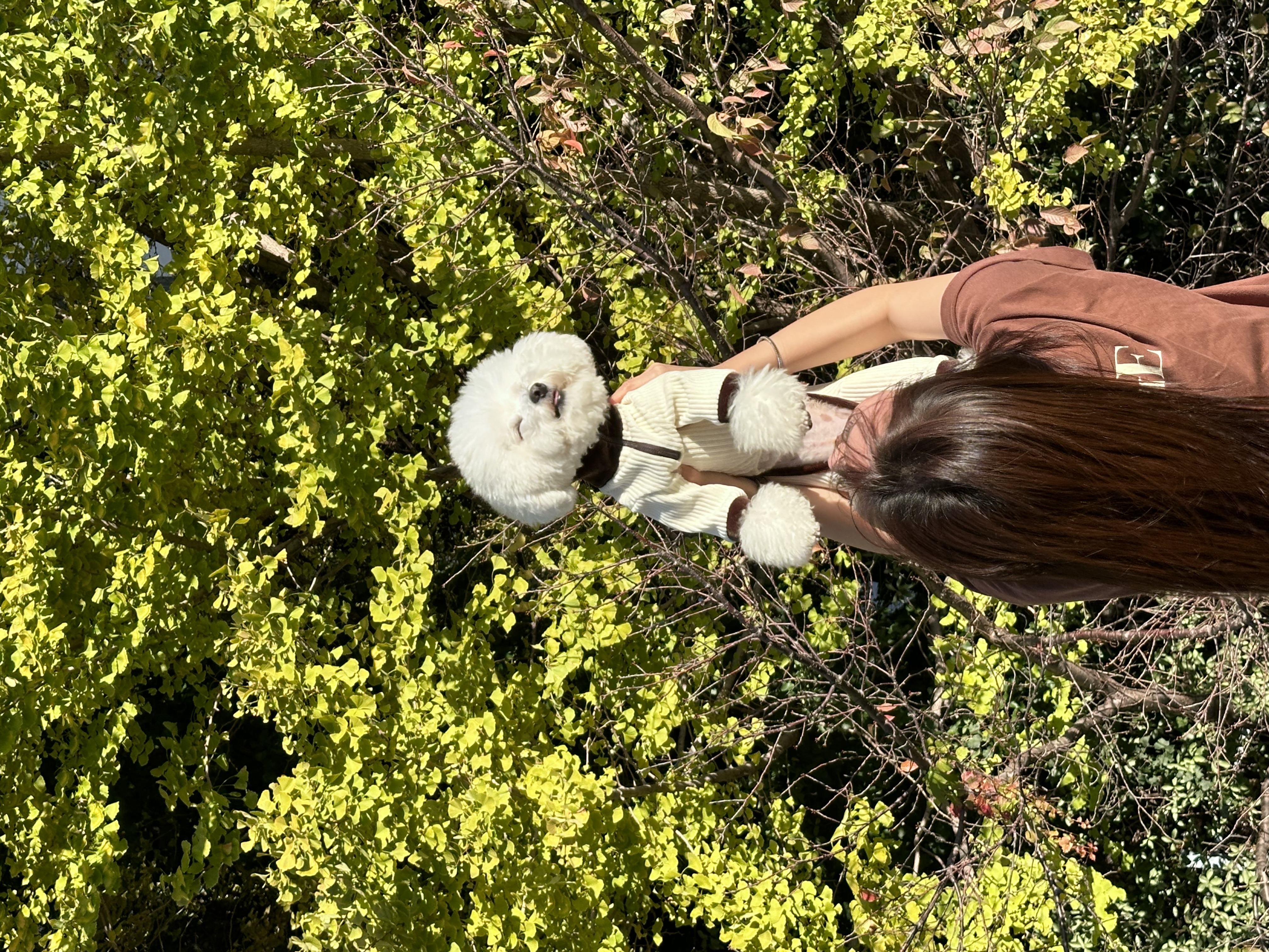 첨부파일