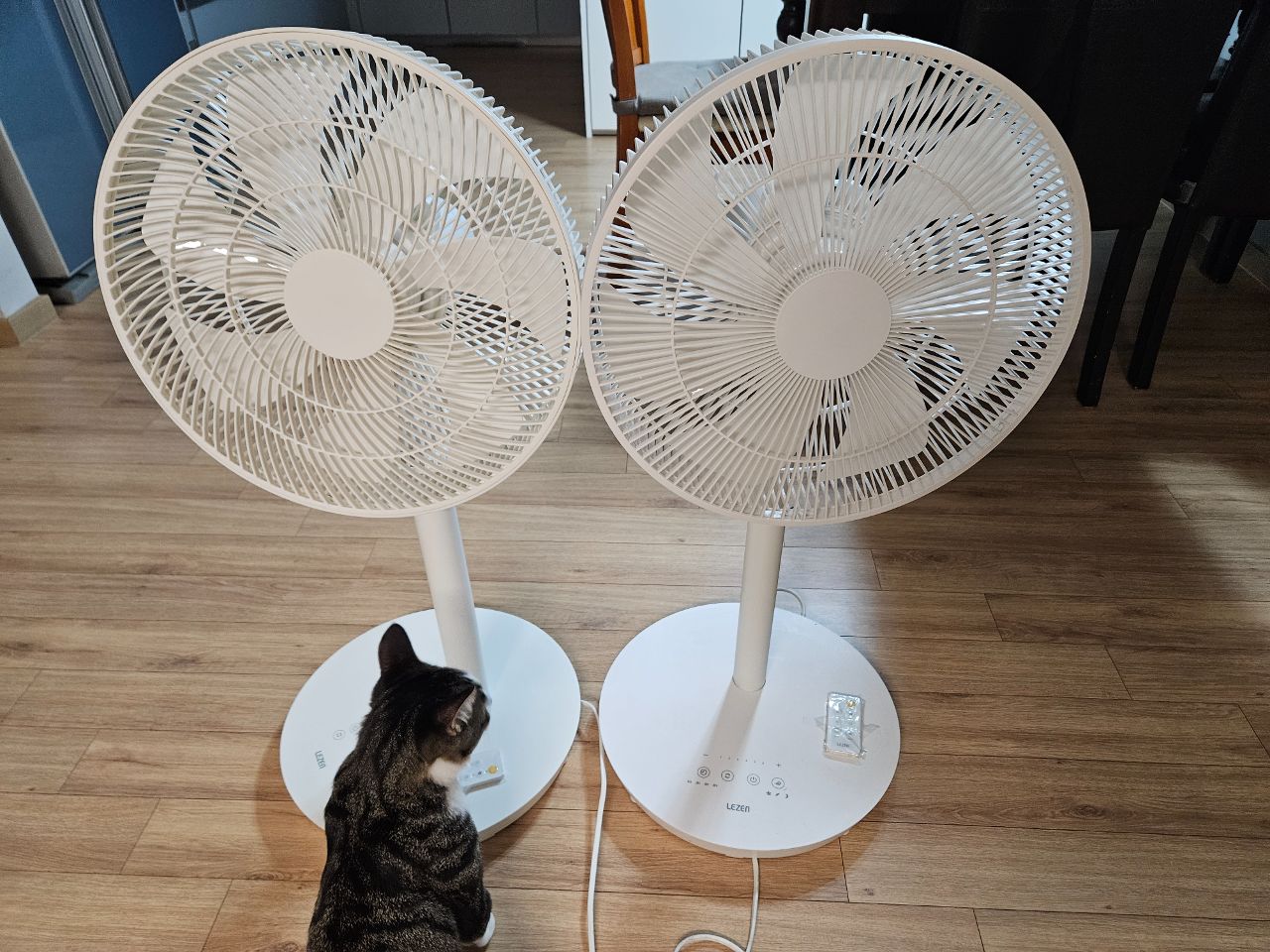 선풍기 계절이 돌아왔어요.