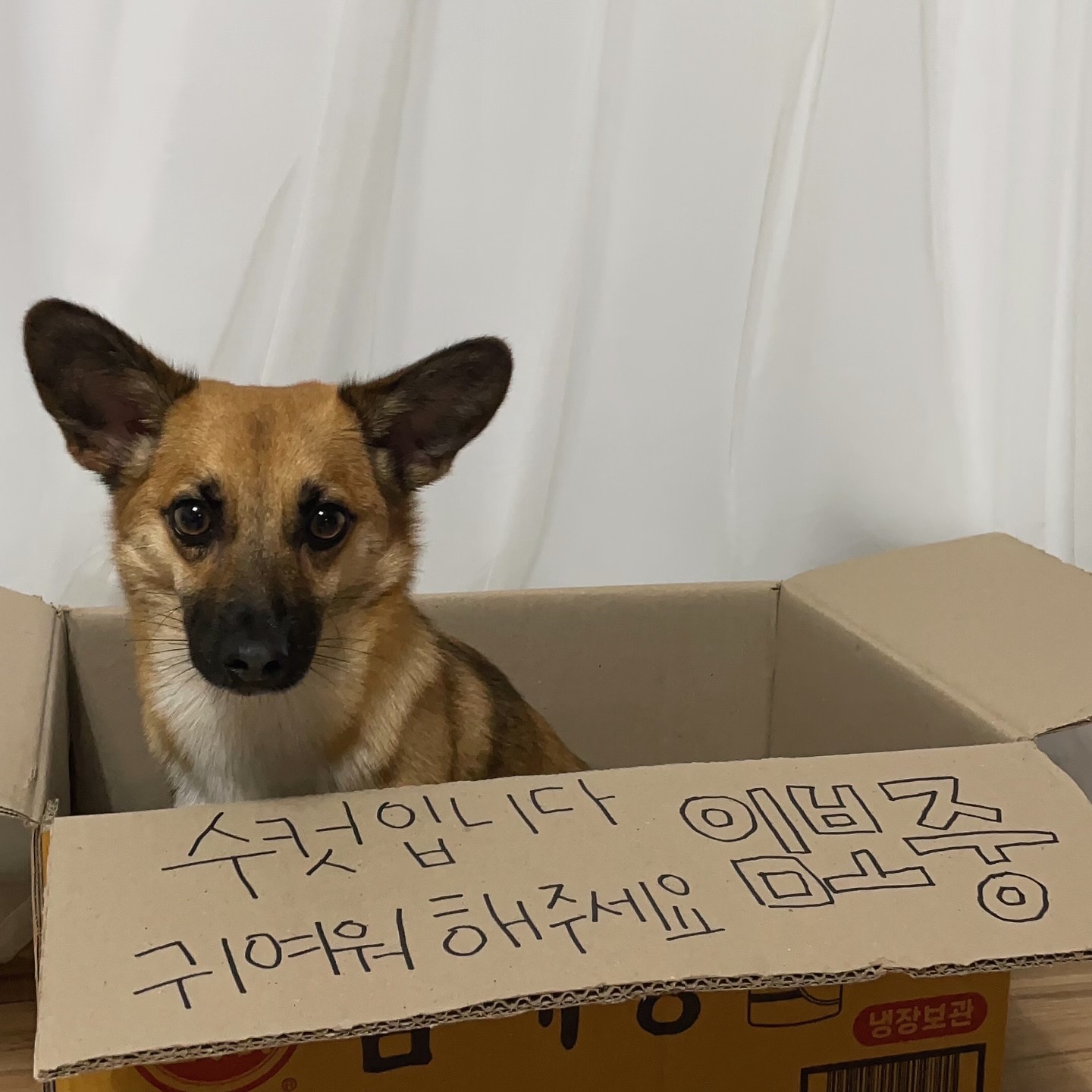 첨부파일