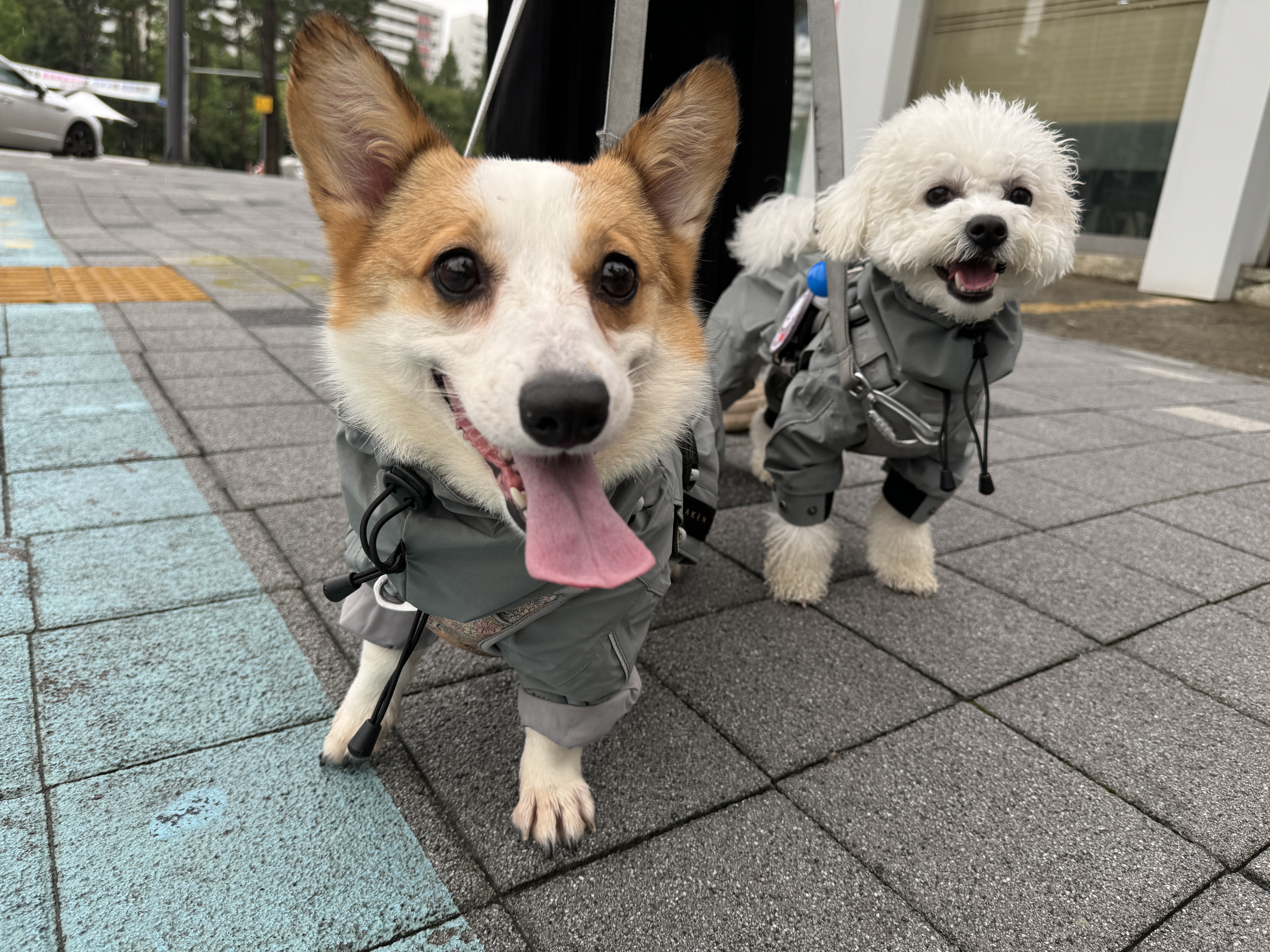 첨부파일