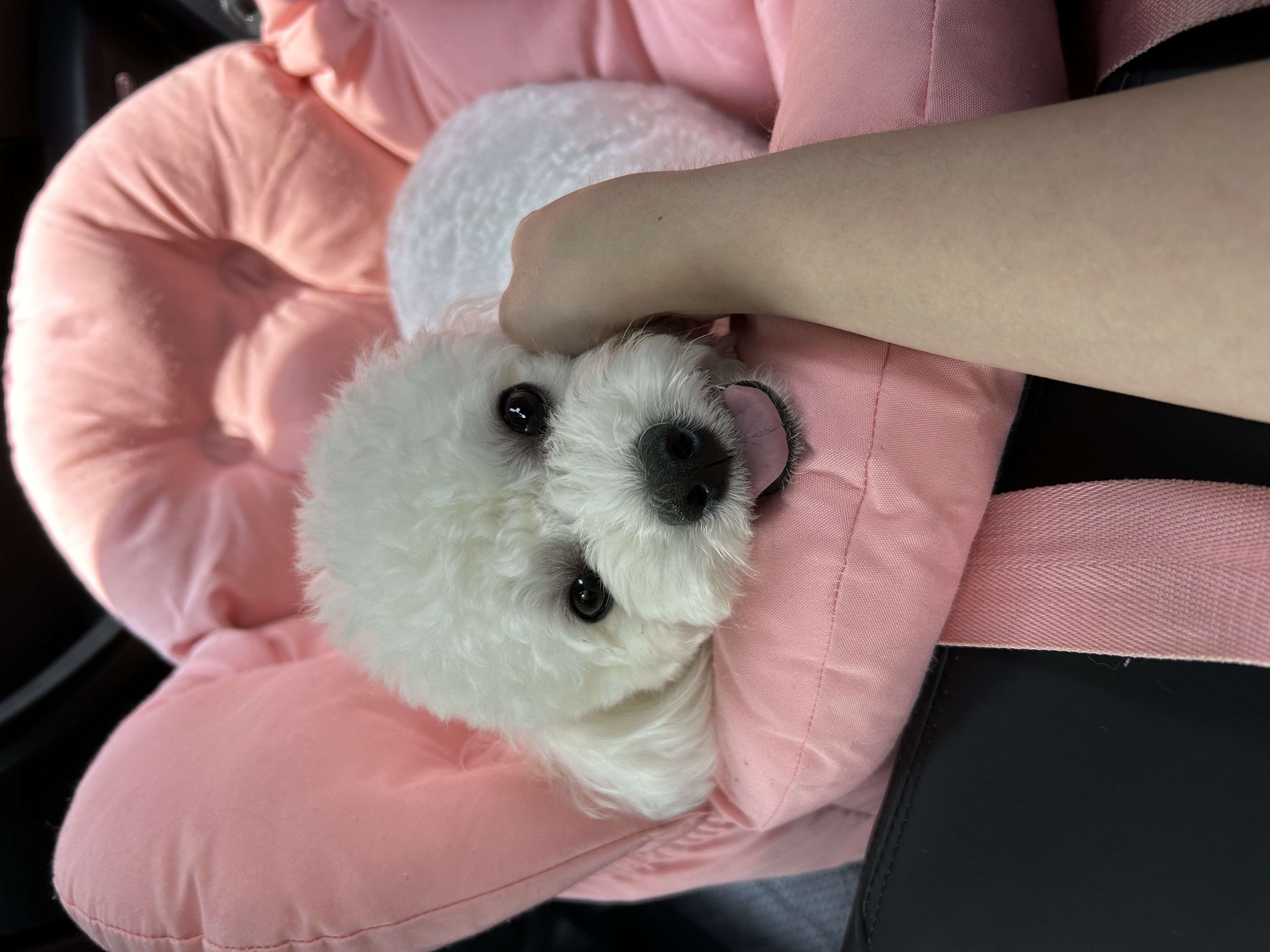 첨부파일
