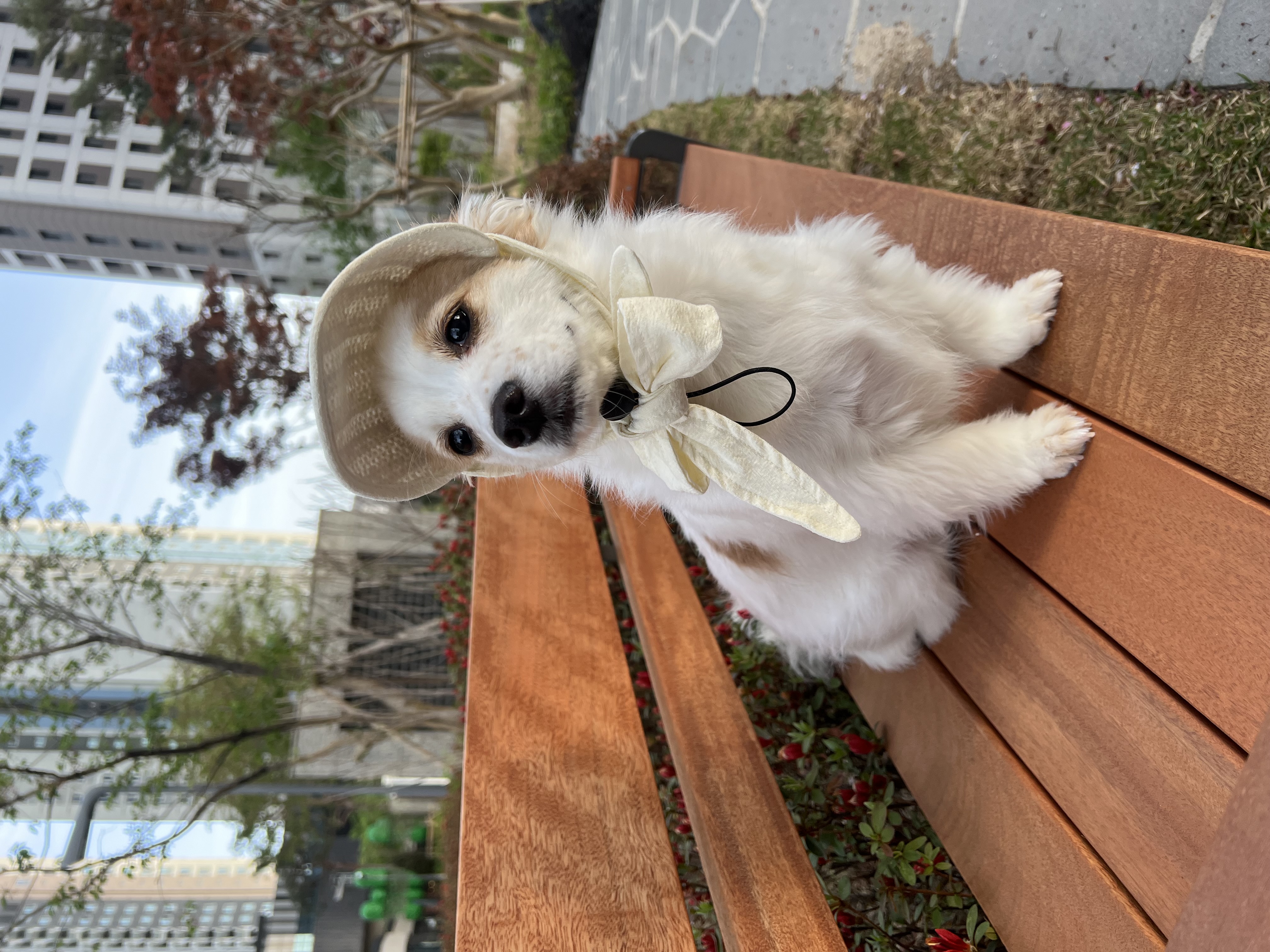 첨부파일