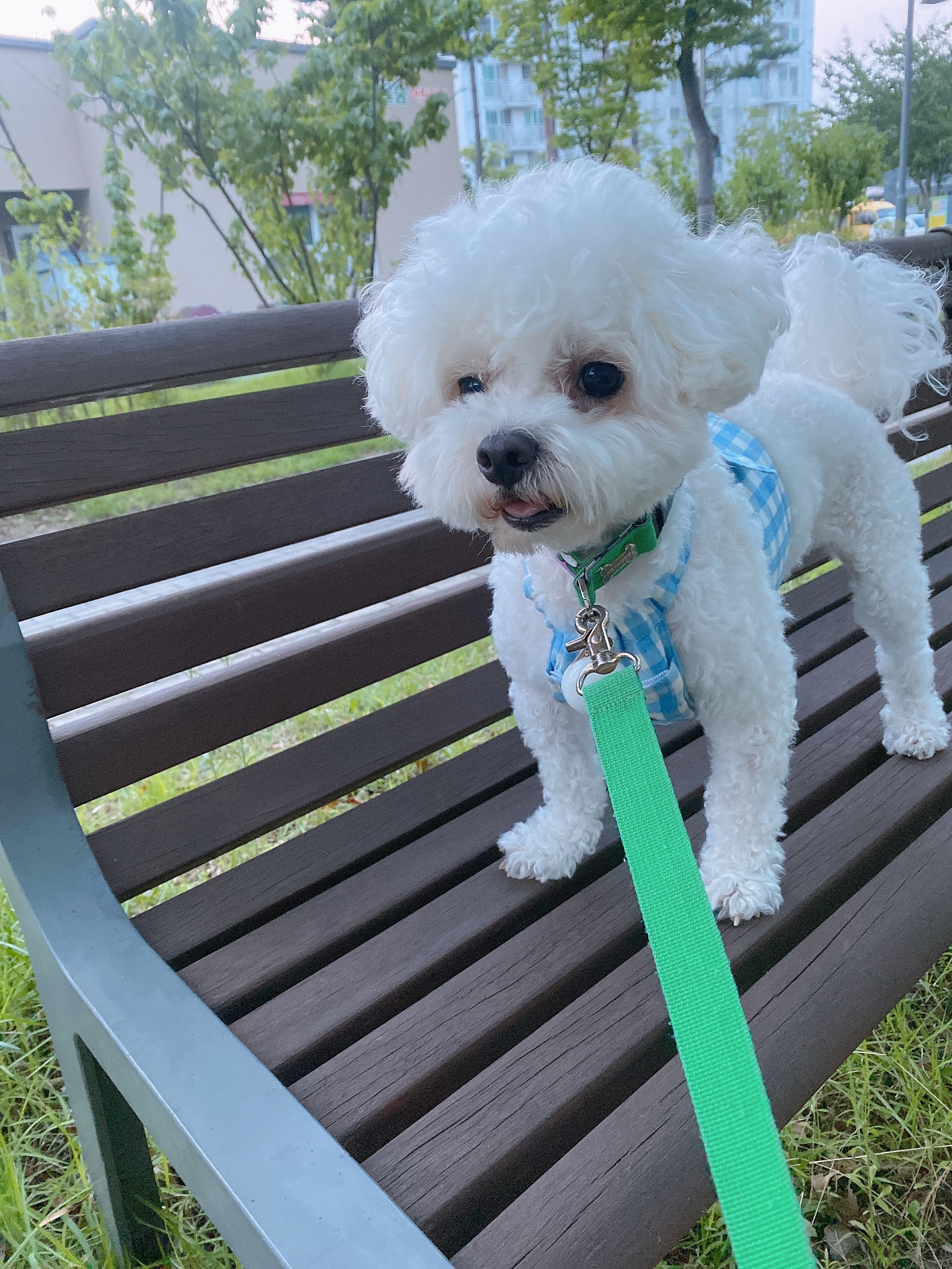첨부파일