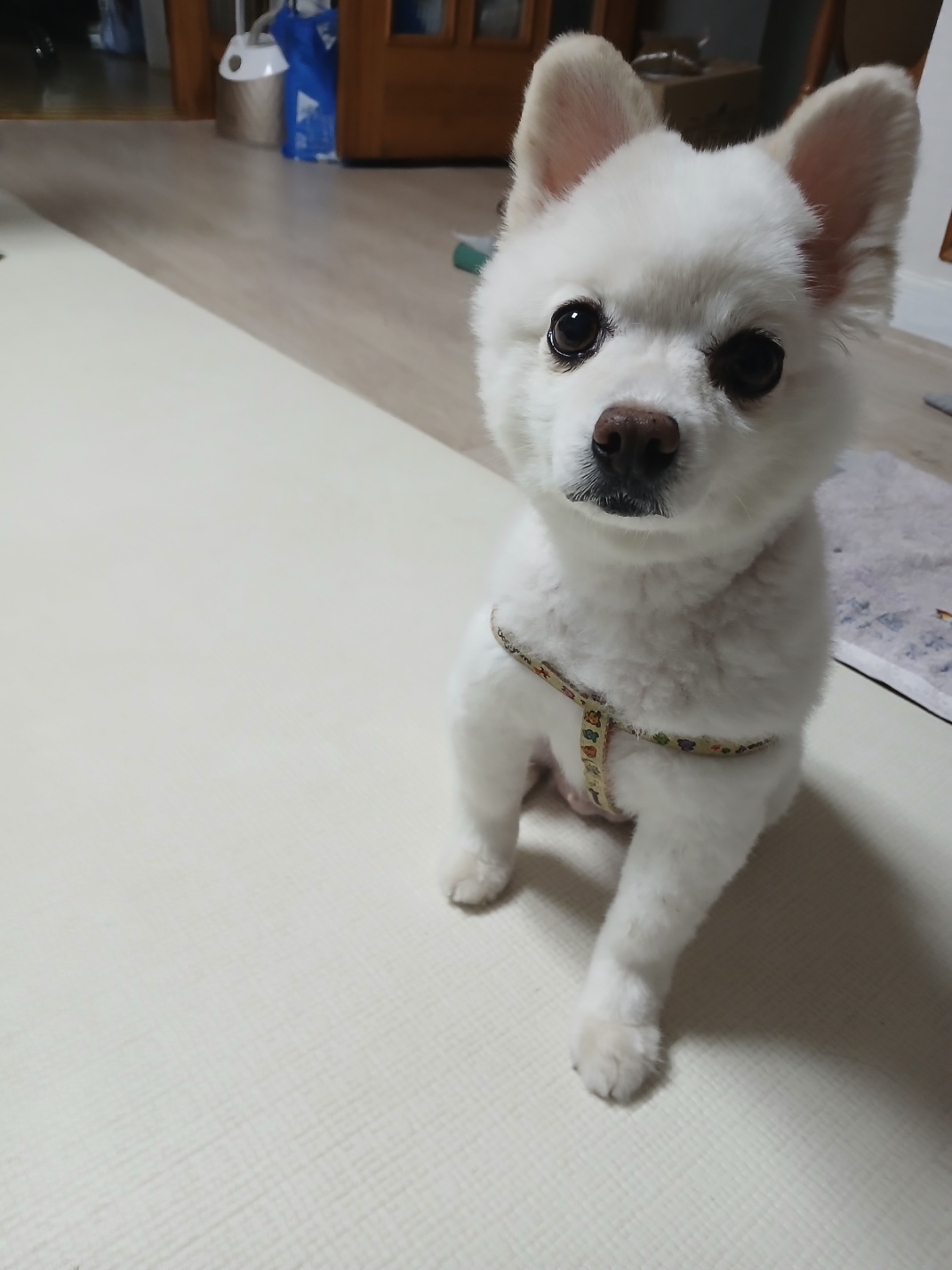 첨부파일