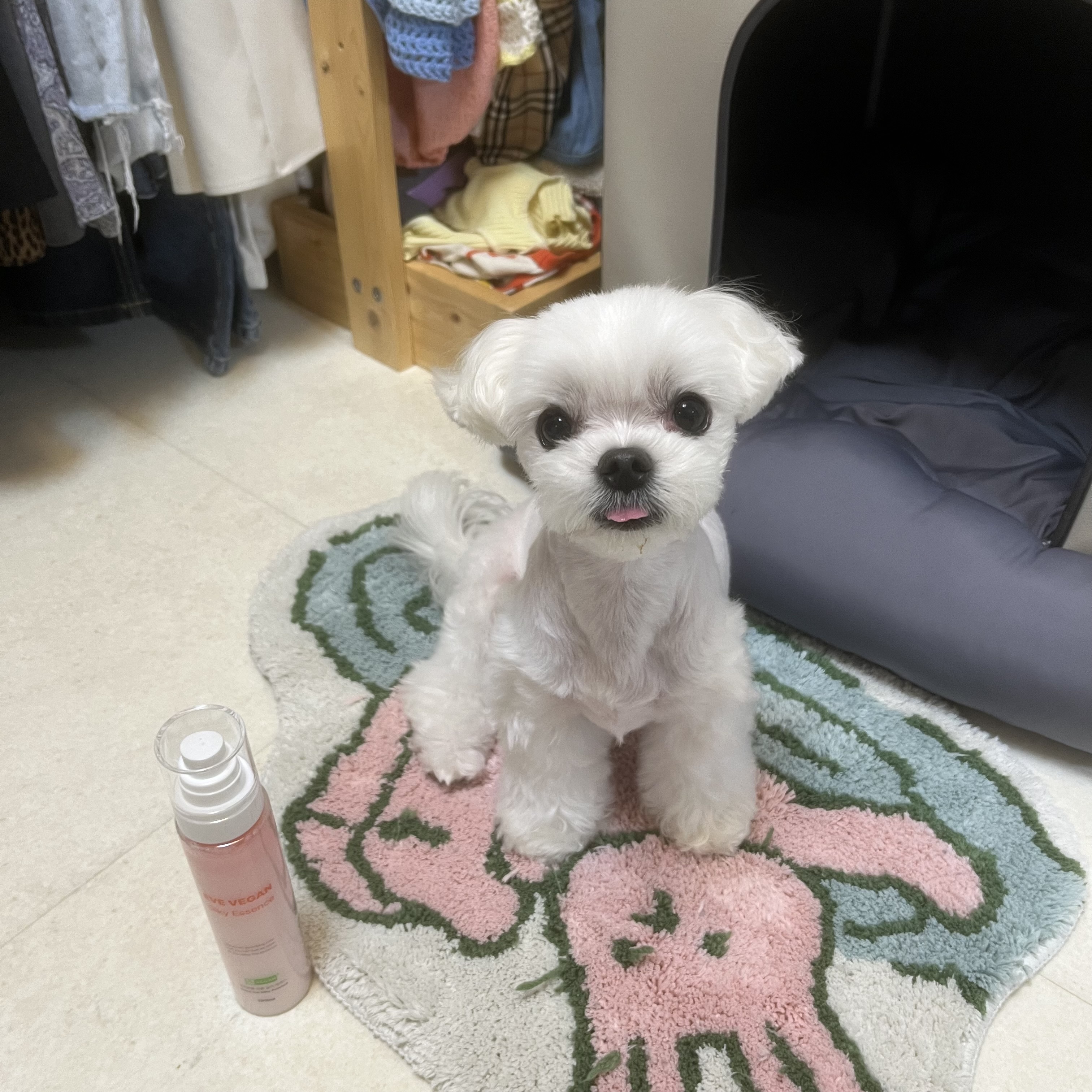 첨부파일