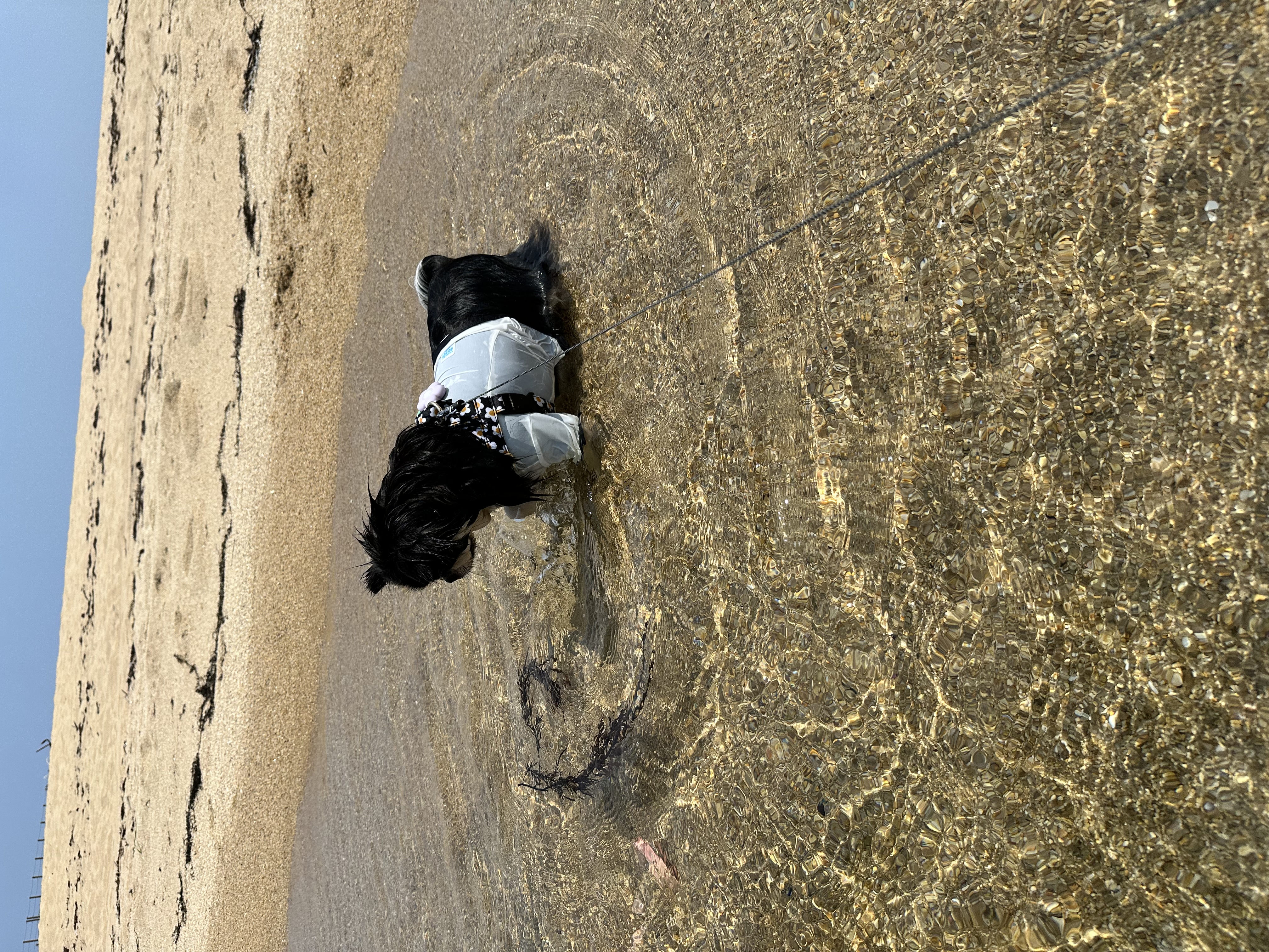 첨부파일