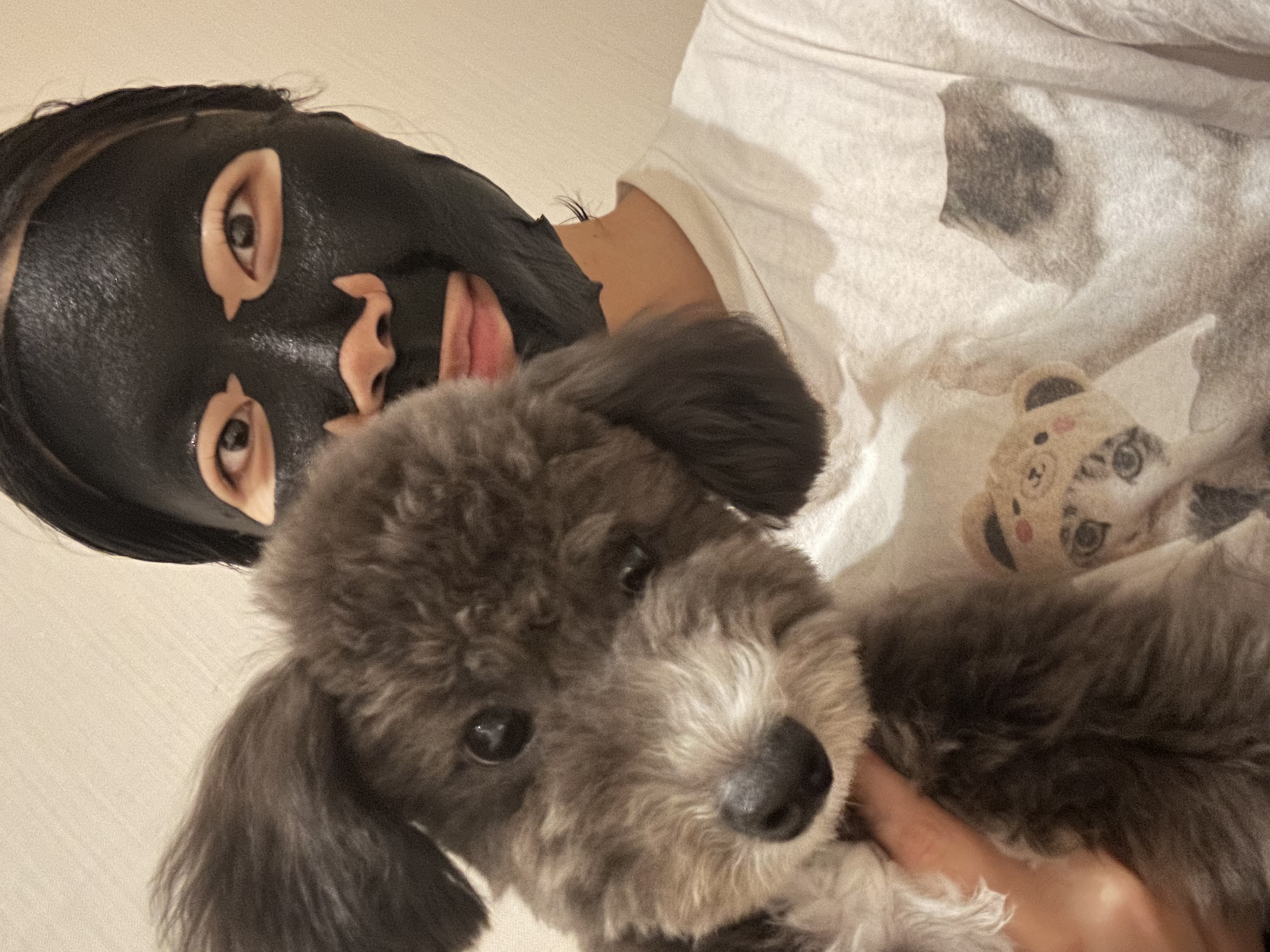 첨부파일