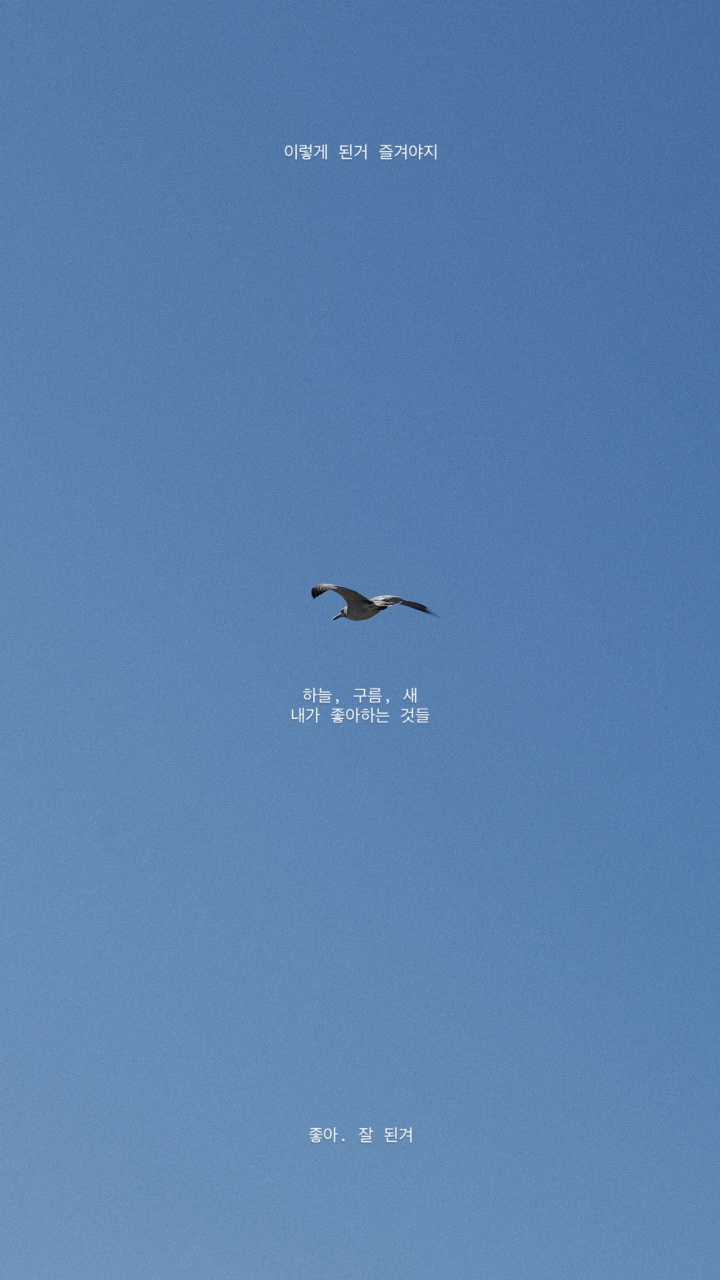 노을공원 모험