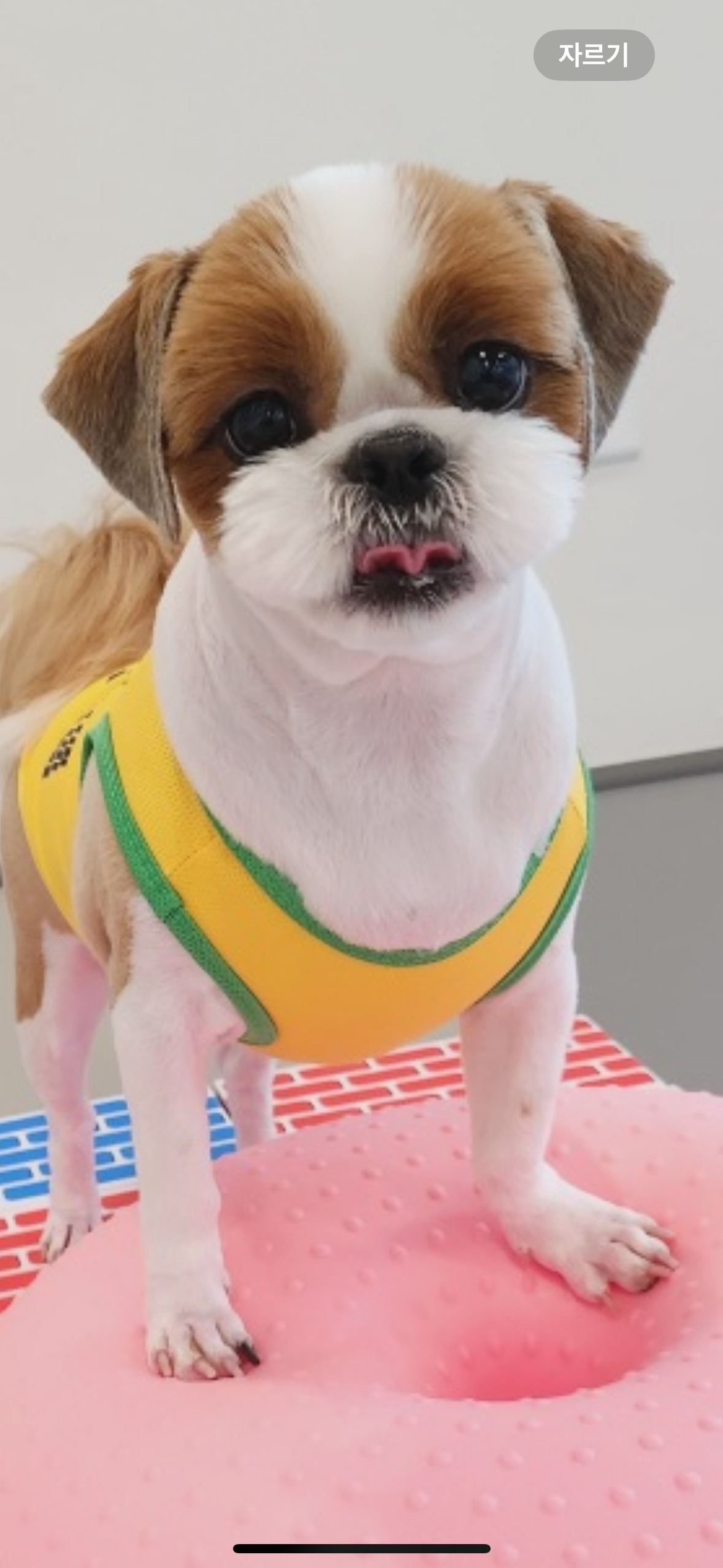첨부파일