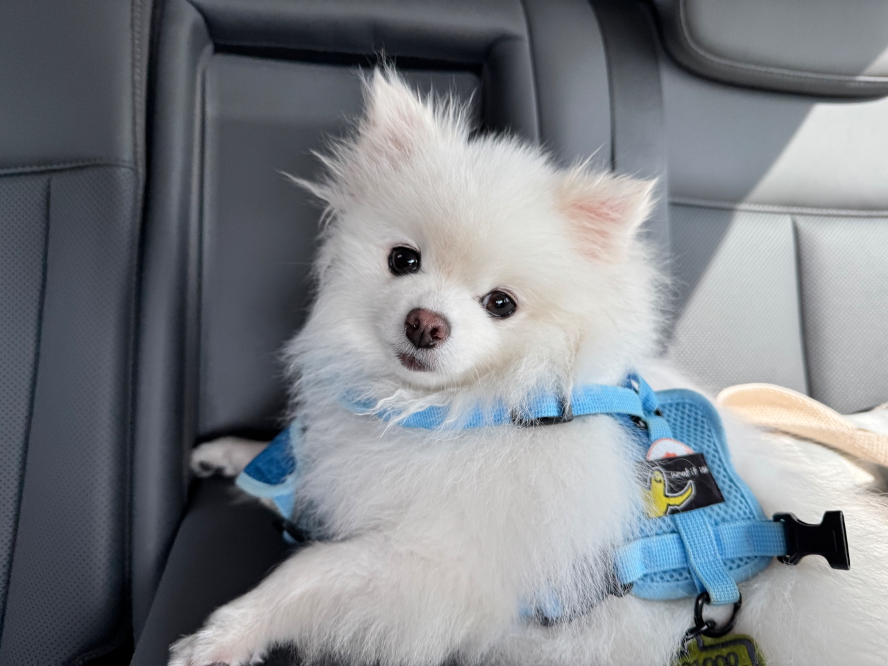오잉