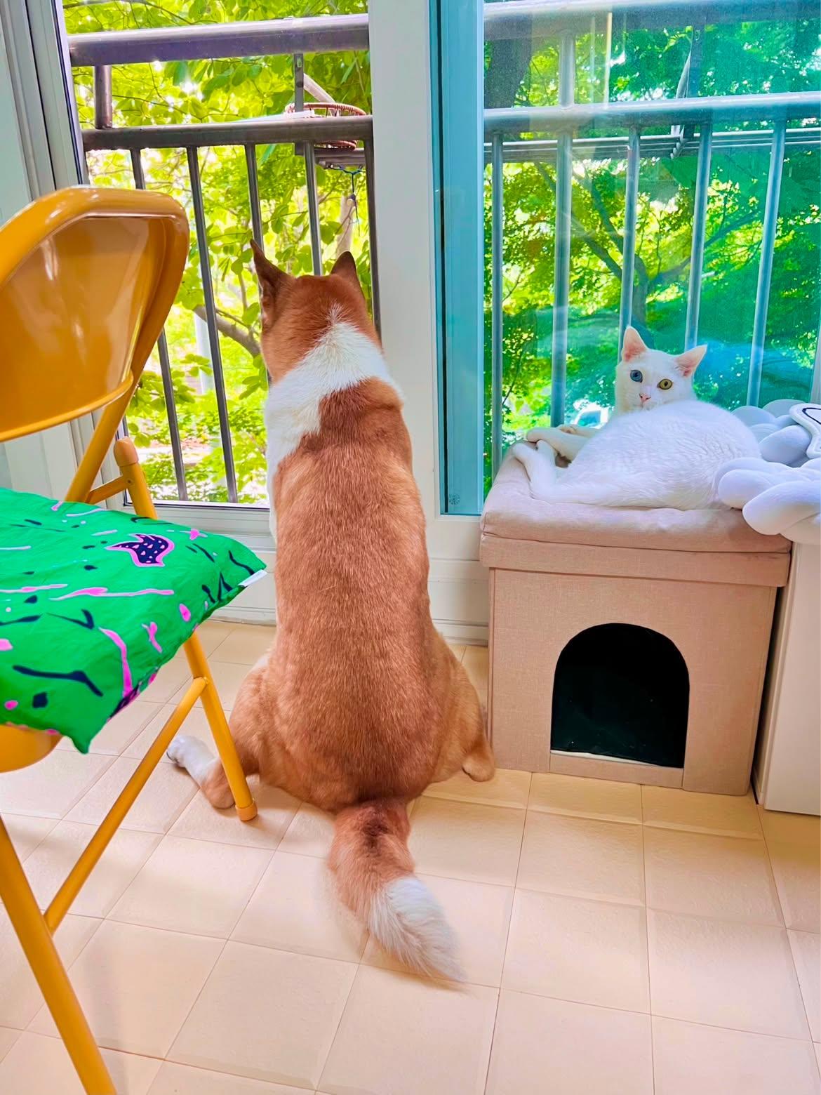 바깥구경