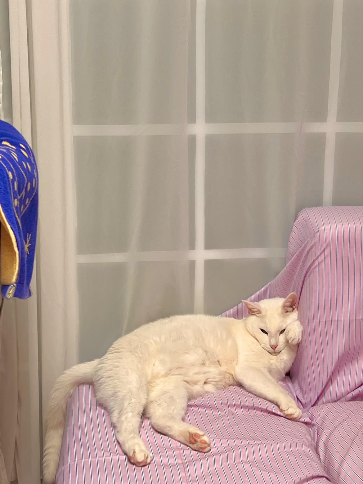 팔베개 하고 누운 게 너무 웃겨요