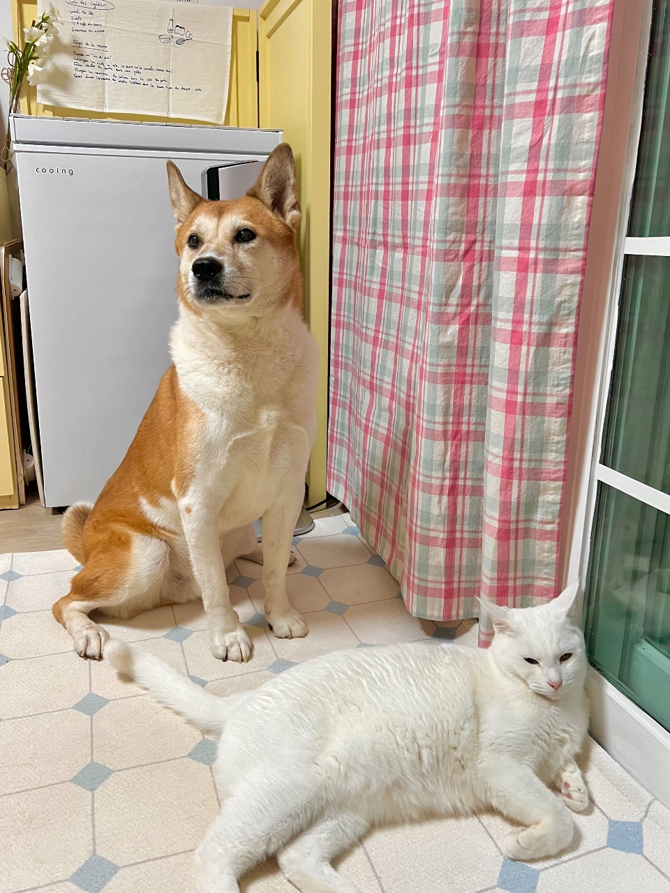 다 귀찮은 요즘