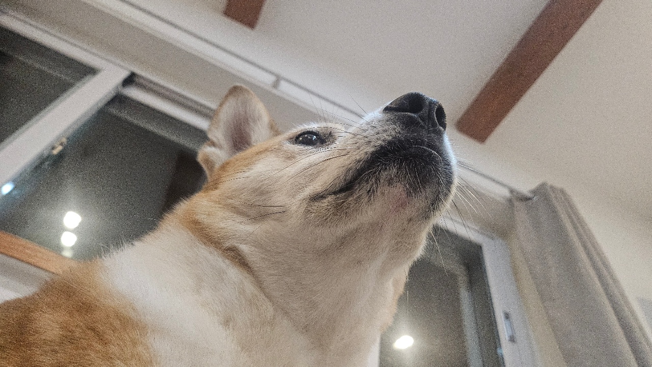 매트 깔고 운동하는데