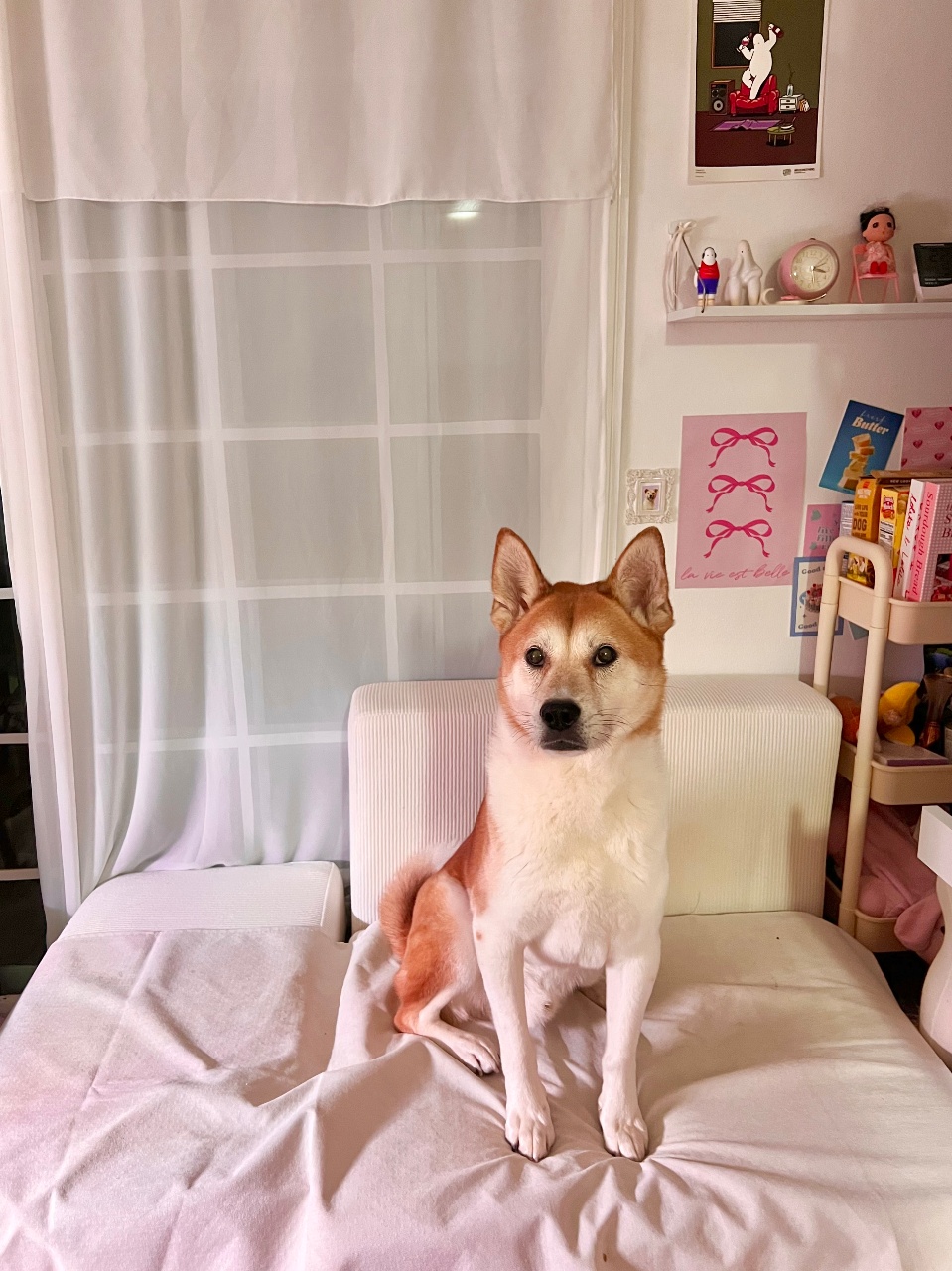 요즘 야행성이 되어서