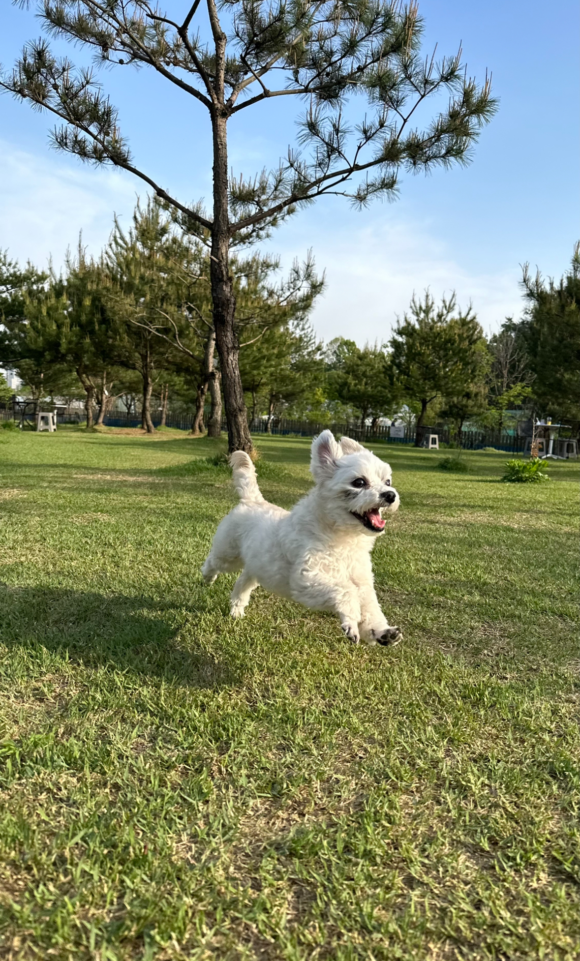 첨부파일
