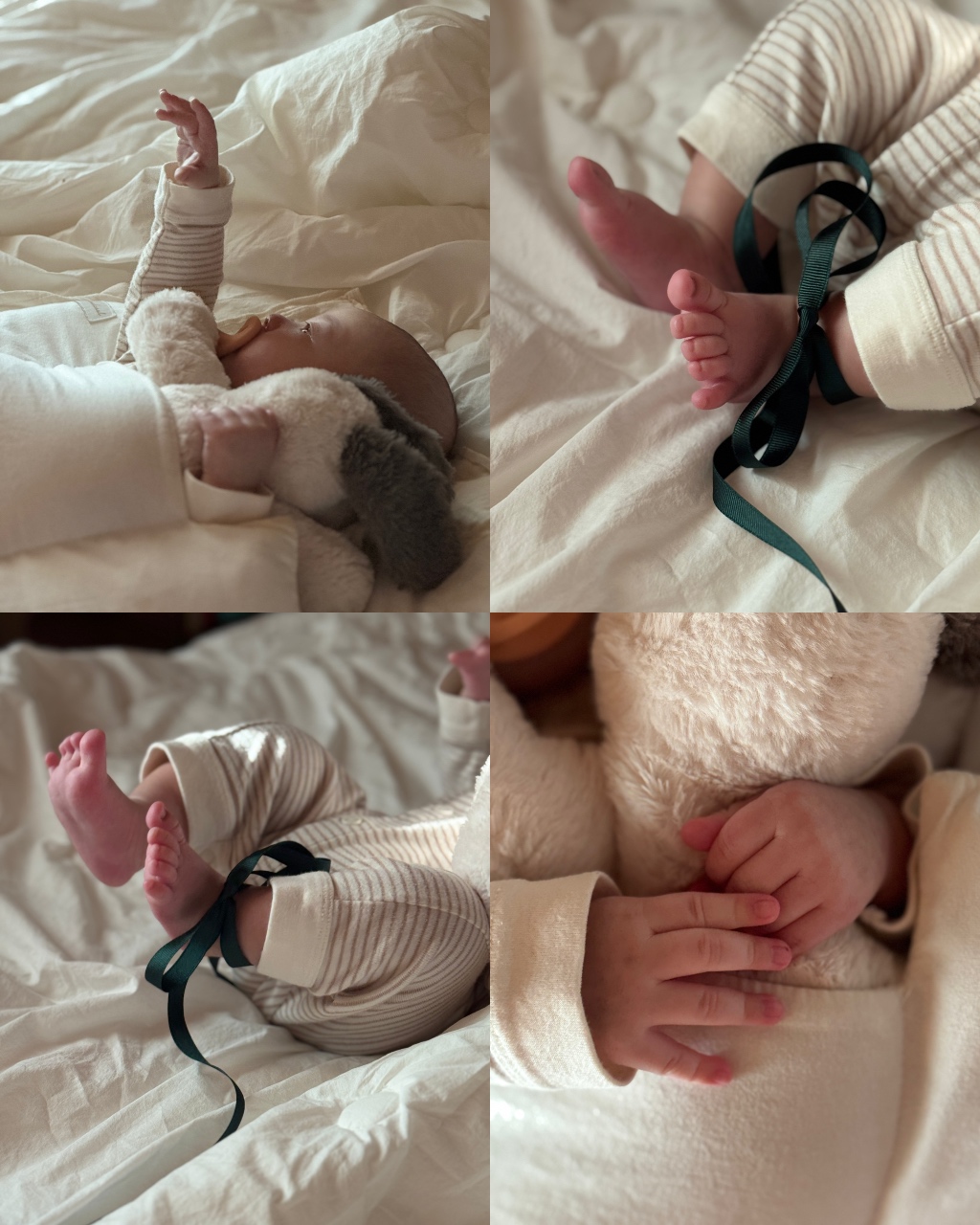 아기 덕질 중...🕊️